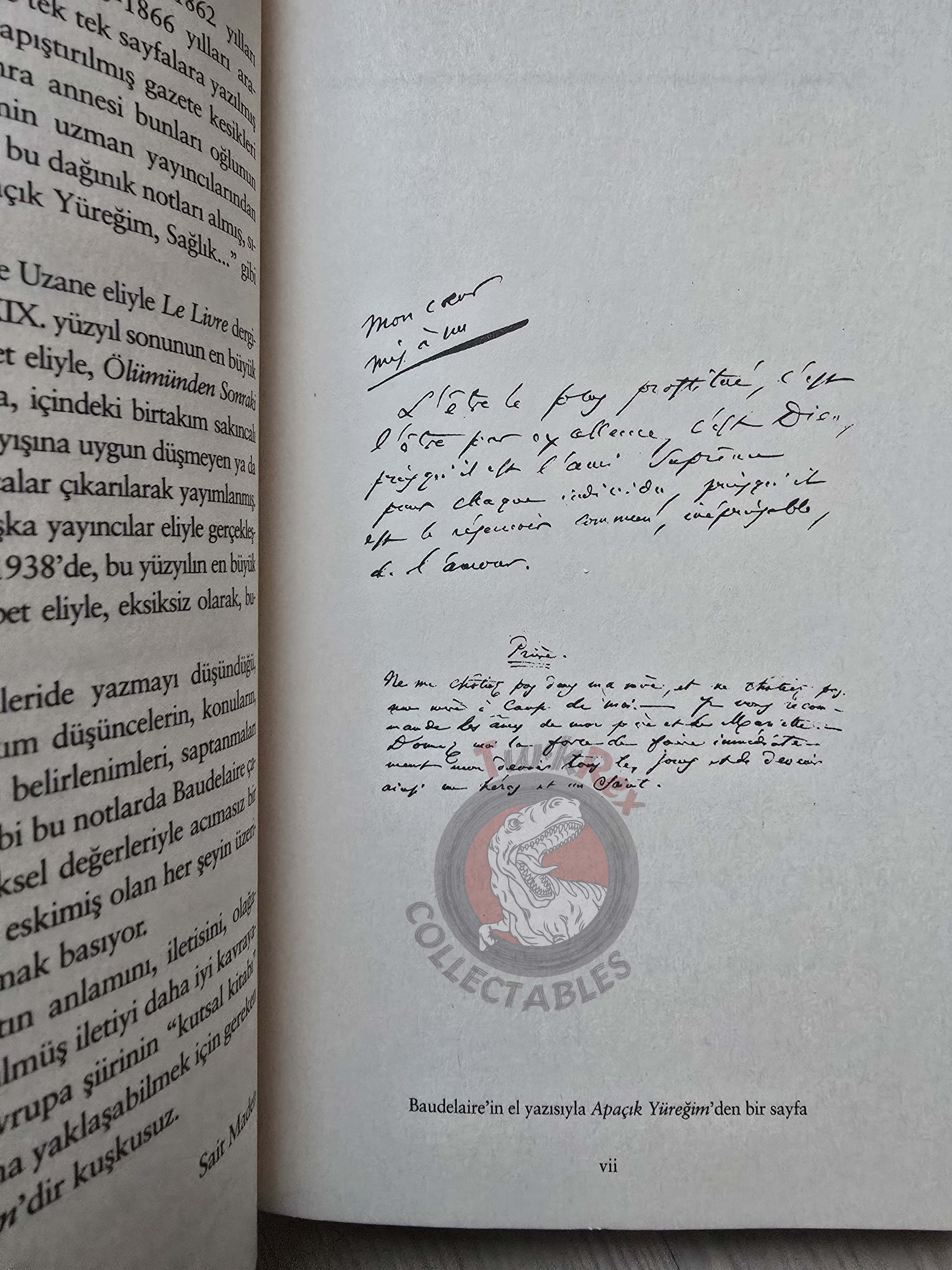 Charles Baudelaire – Journaux Intimes 2015 Turkish Book Turkey