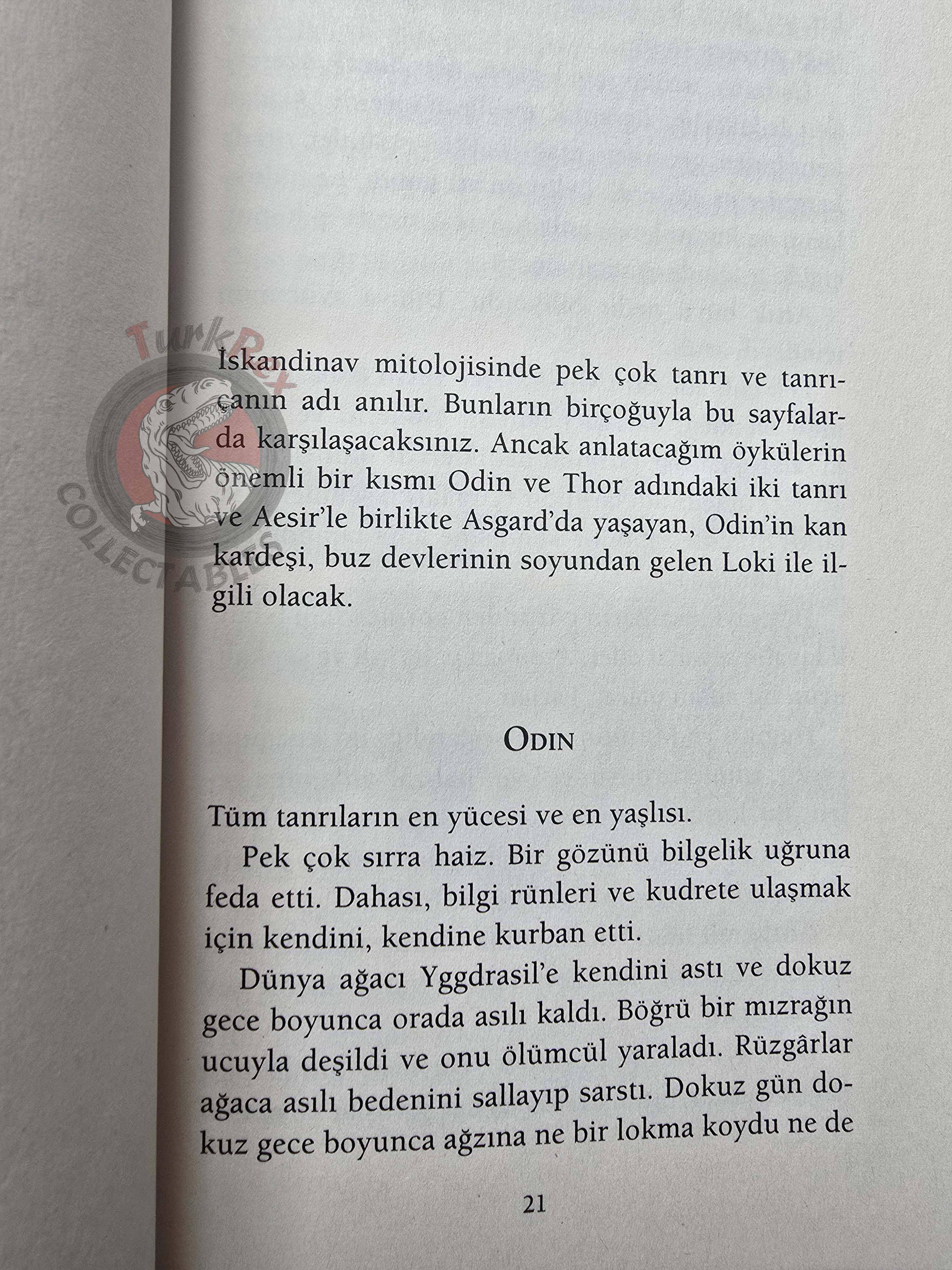 Neil Gaiman – Norse Mythology 2018 1st Turkish Book Turkey