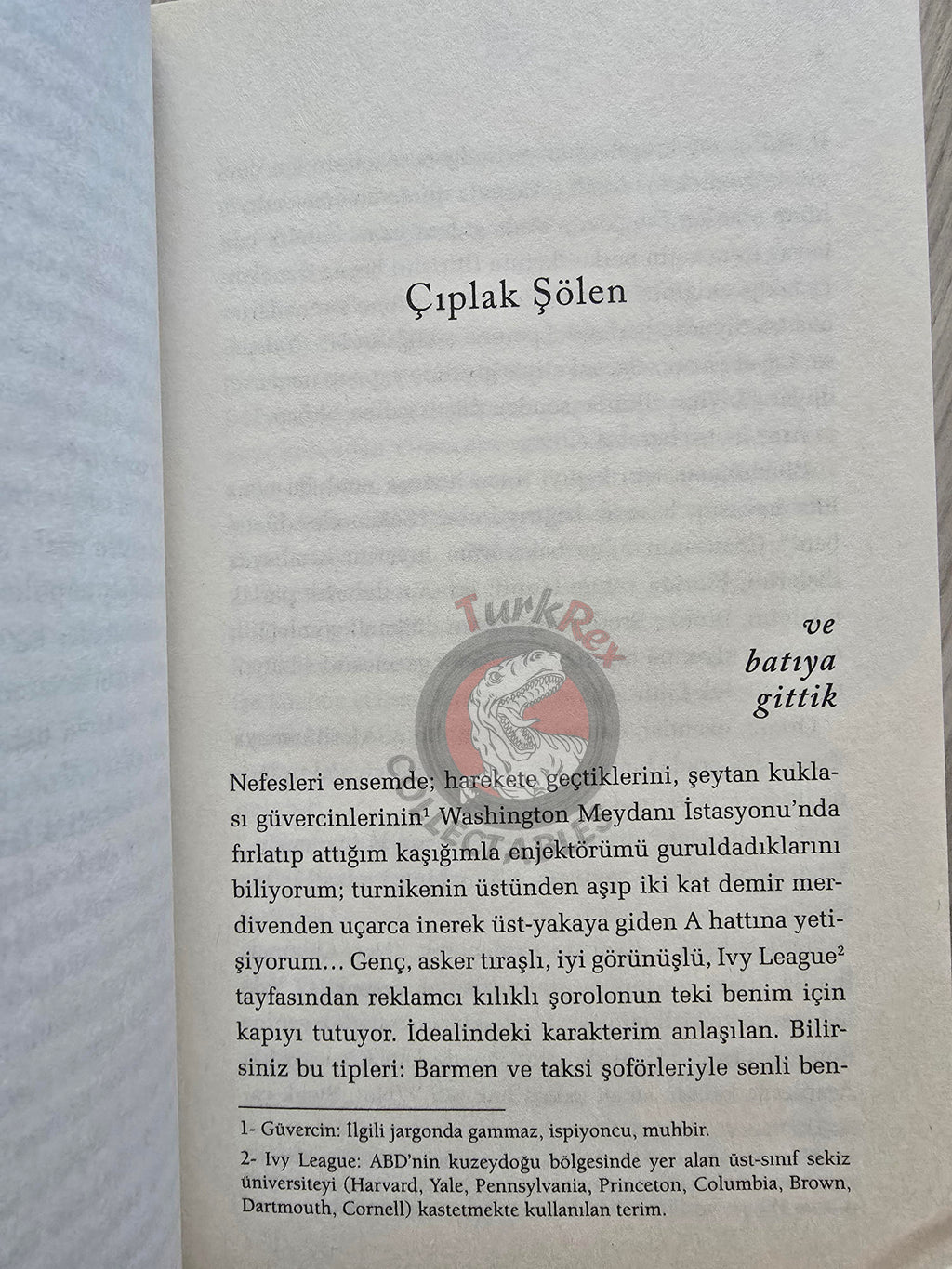 William S. Burroughs – Naked Lunch 2010 Turkish Book Turkey