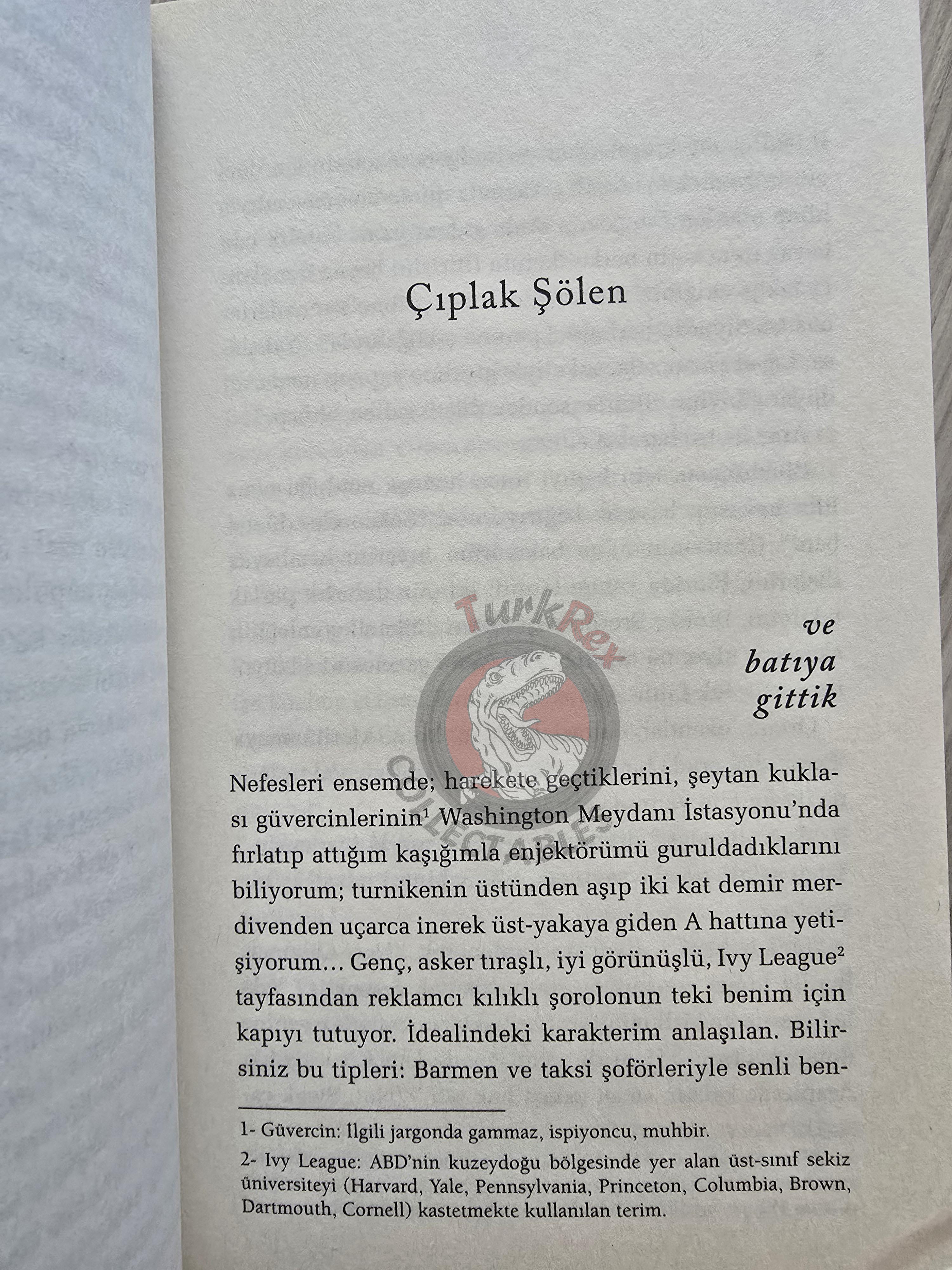 William S. Burroughs – Naked Lunch 2010 Turkish Book Turkey