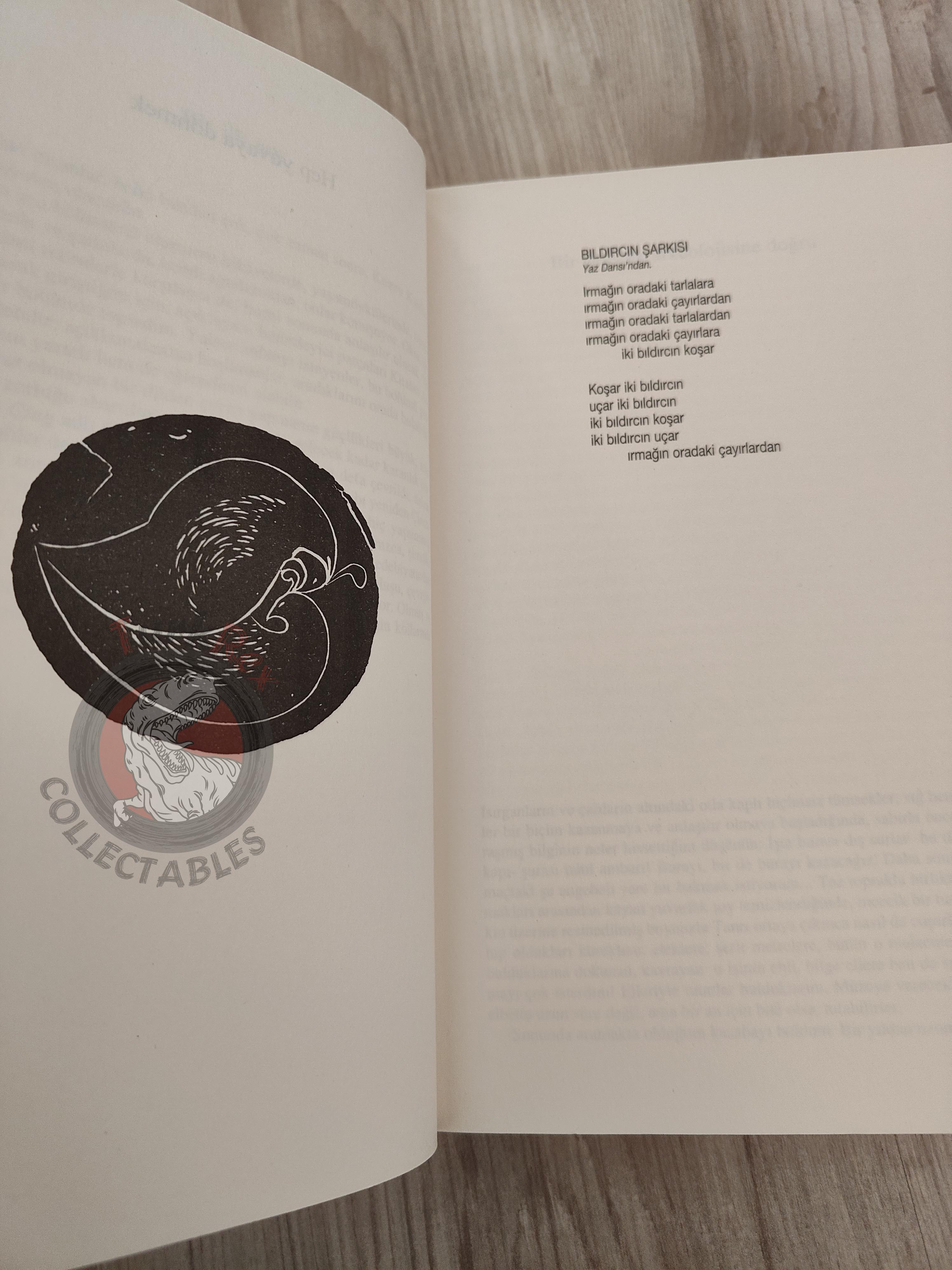Ursula K. Le Guin – Always Coming Home 2013 Turkish Book Turkey