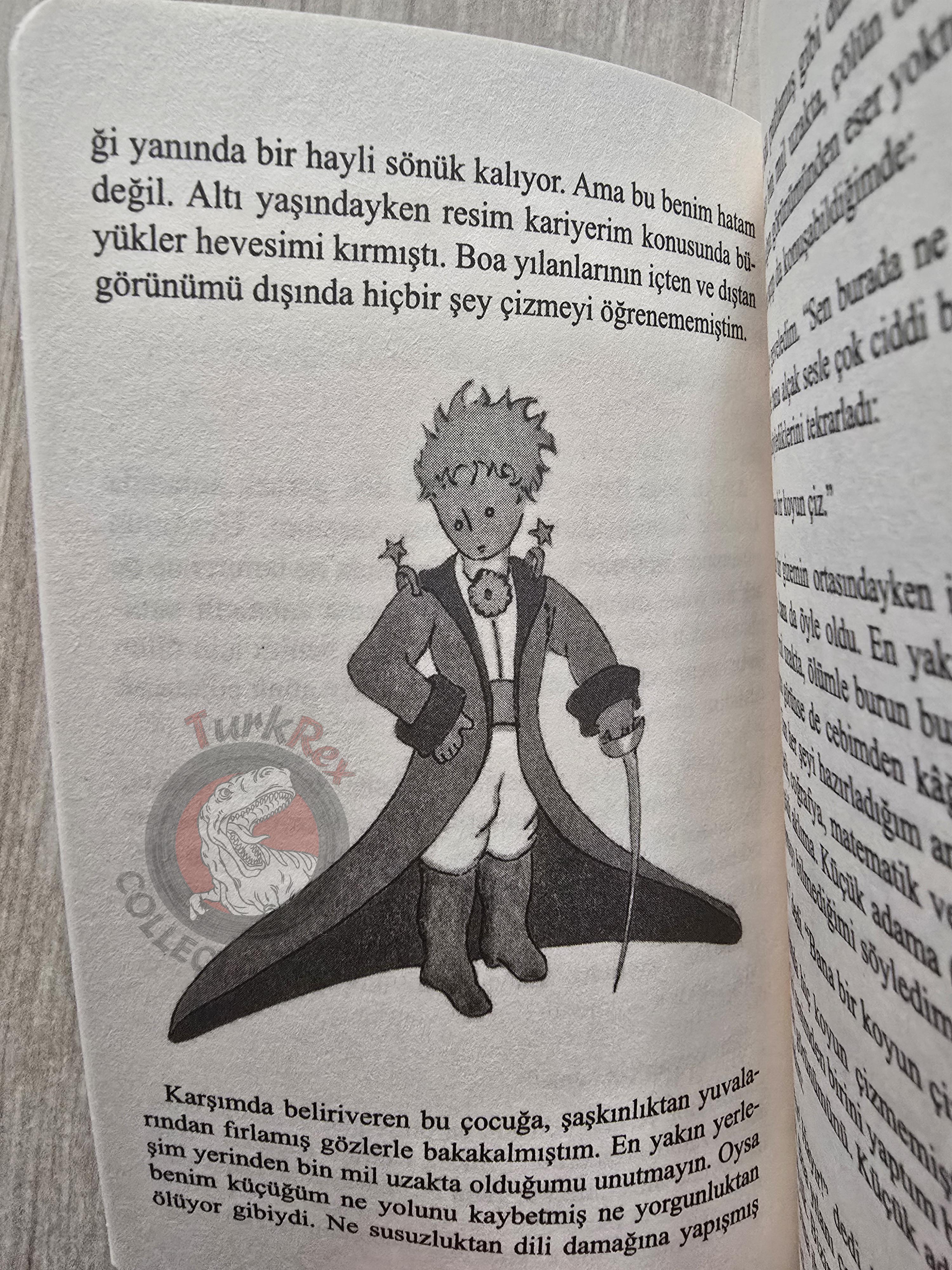 Antoine de Saint-Exupéry – Le Petit Prince 2019 Turkish Book Turkey Illustrated Little