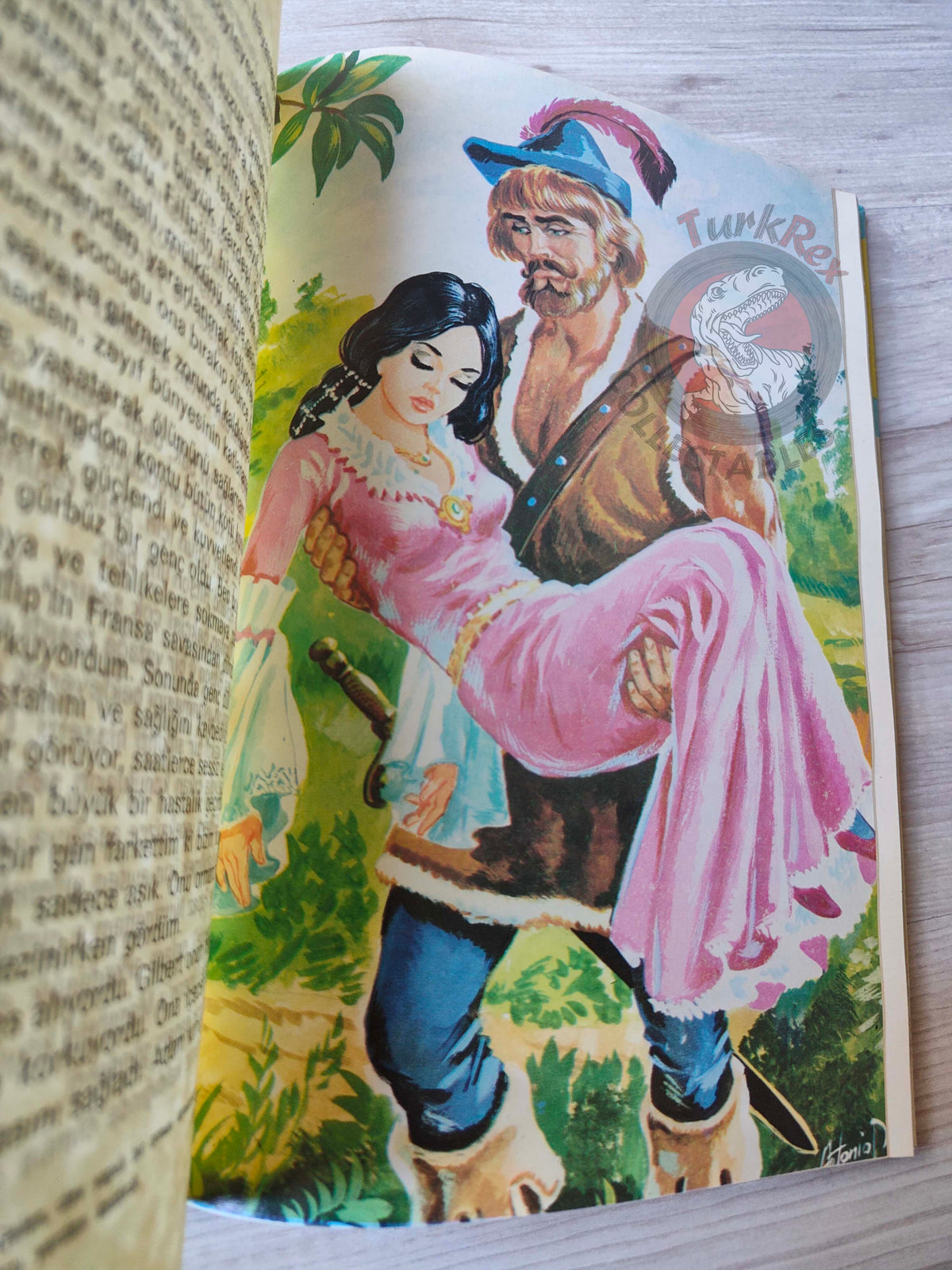 Robin Hood – Alexandre Dumas 1981 HC Turkish Book Turkey Illustrated