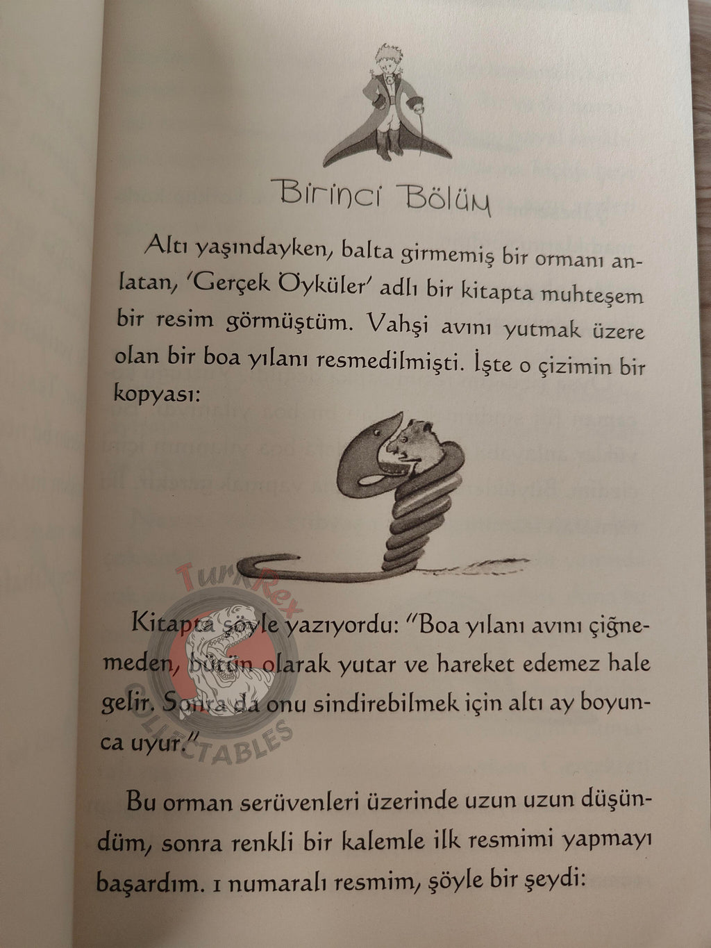 Antoine de Saint-Exupéry – Le Petit Prince 2015 Turkish Book Turkey Illustrated Little 8