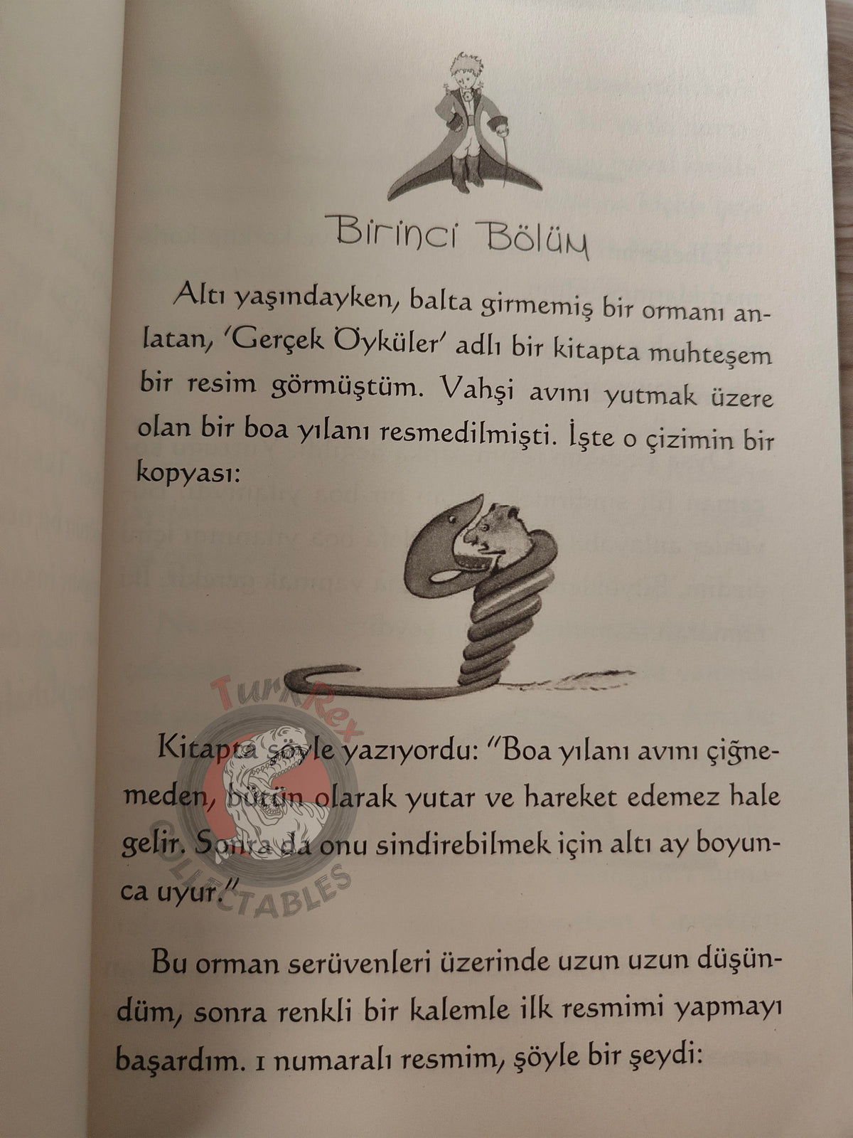 Antoine de Saint-Exupéry – Le Petit Prince 2015 Turkish Book Turkey Illustrated Little 8