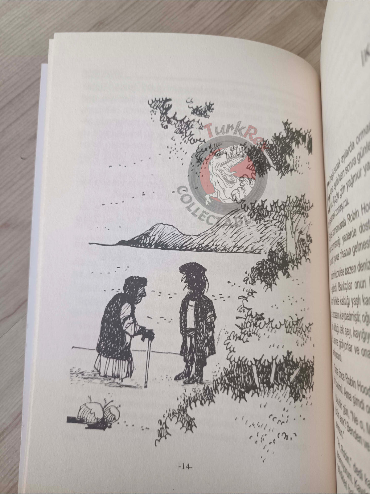 Robin Hood – John Turvey 2011 Turkish Book Turkey Illustrated