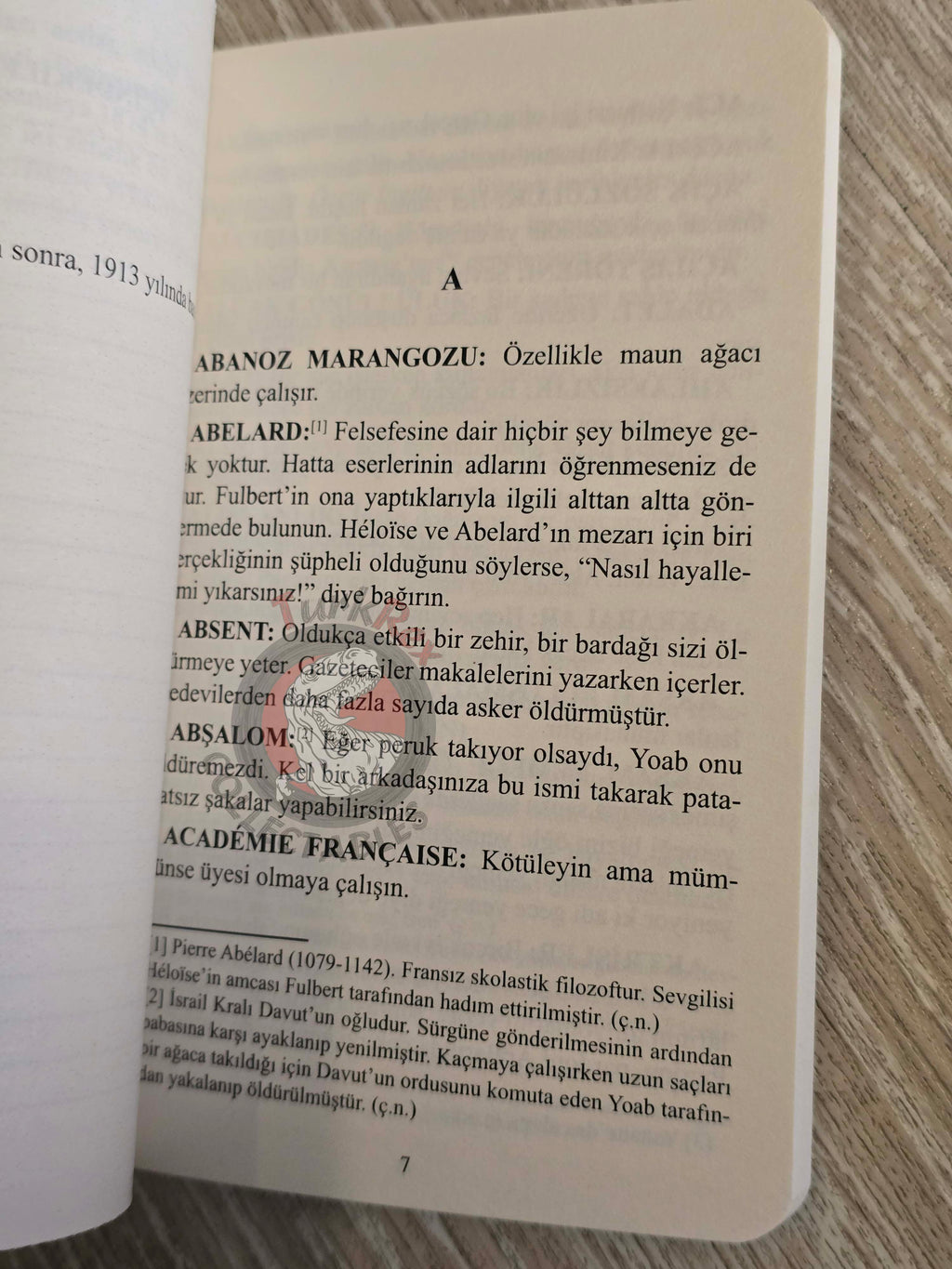 Gustave Flaubert – Dictionary of Received Ideas 2020 Turkish Book Turkey