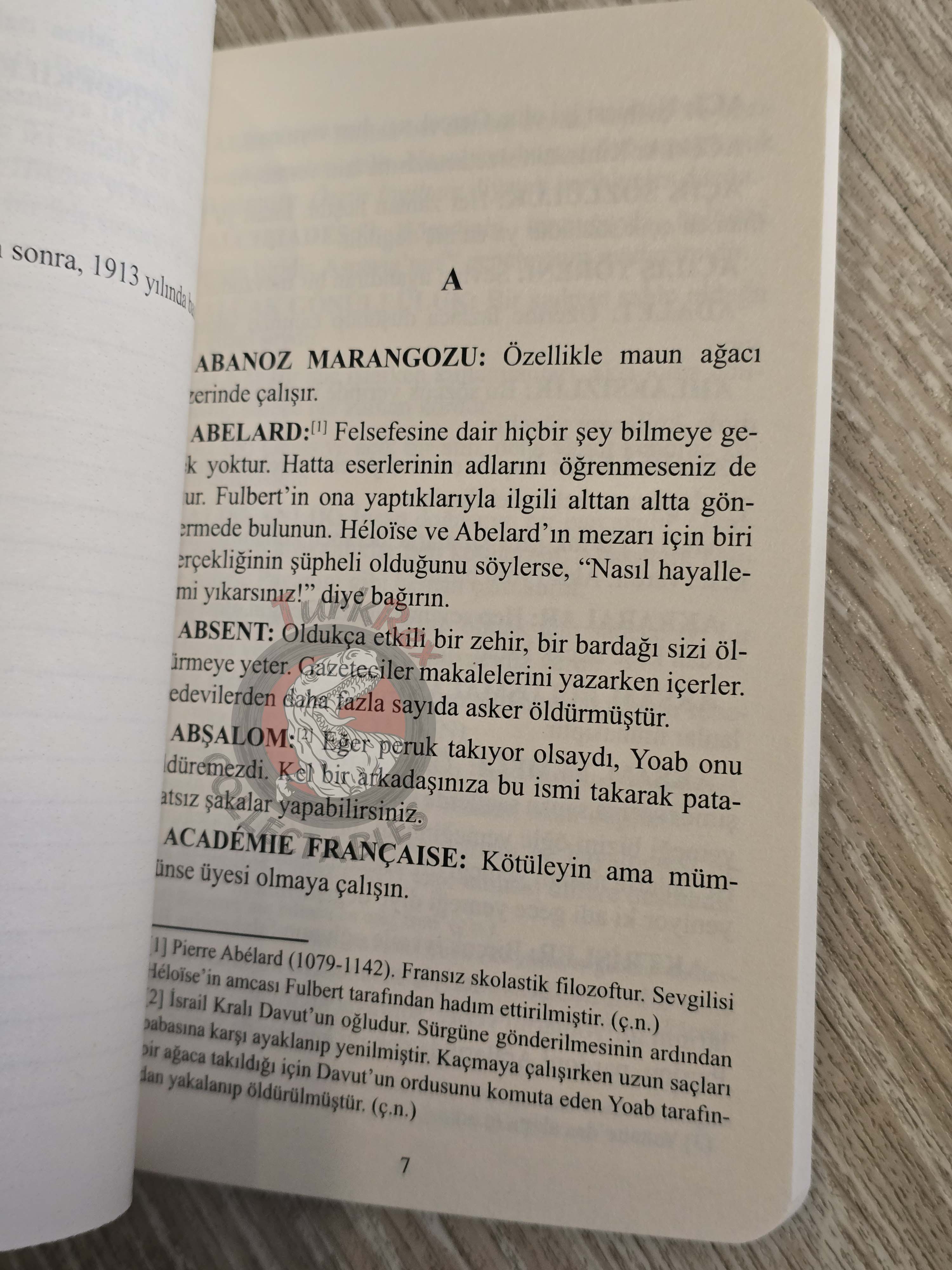 Gustave Flaubert – Dictionary of Received Ideas 2020 Turkish Book Turkey