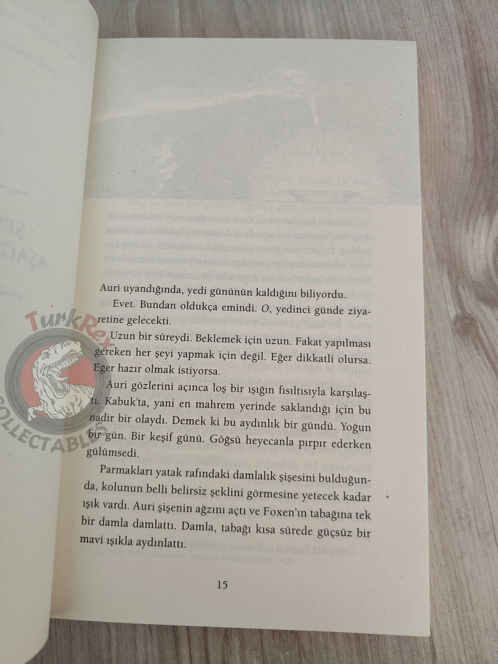 Patrick Rothfuss  – The Slow Regard of Silent Things 2015 1st Turkish Book Turkey