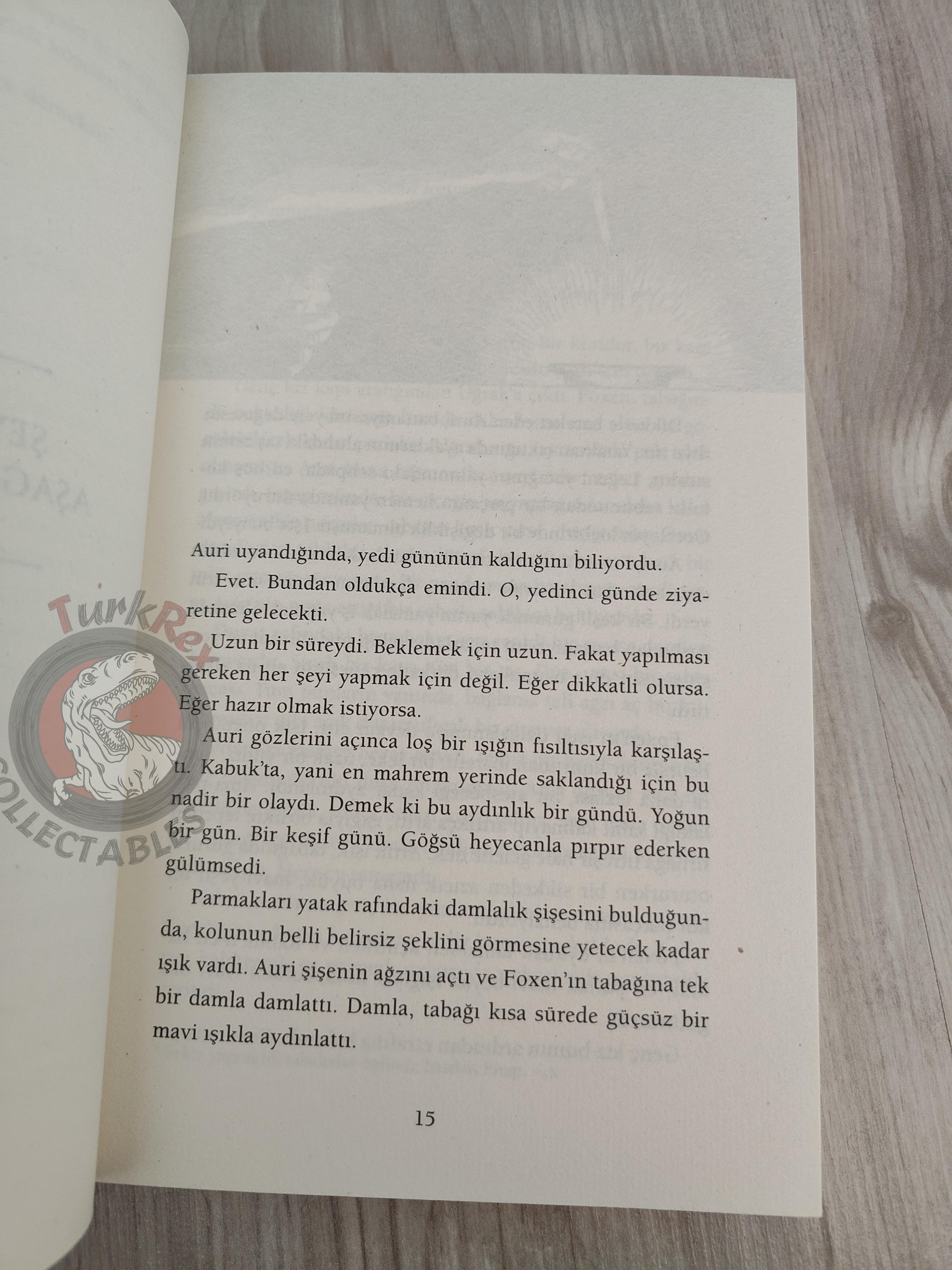Patrick Rothfuss  – The Slow Regard of Silent Things 2015 1st Turkish Book Turkey