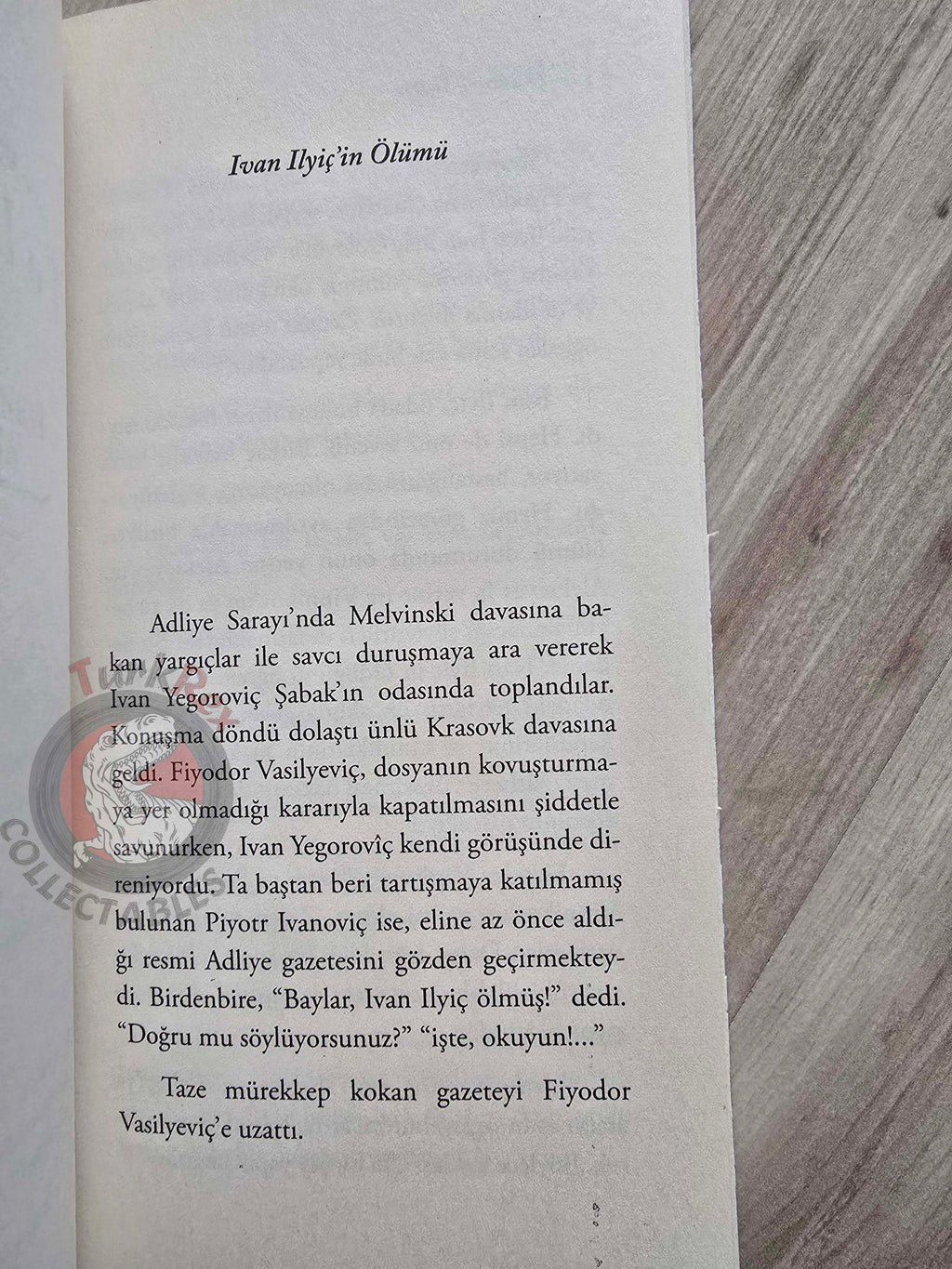 Leo Tolstoy – The Death of Ivan Ilyich 2012 Turkish Book Turkey