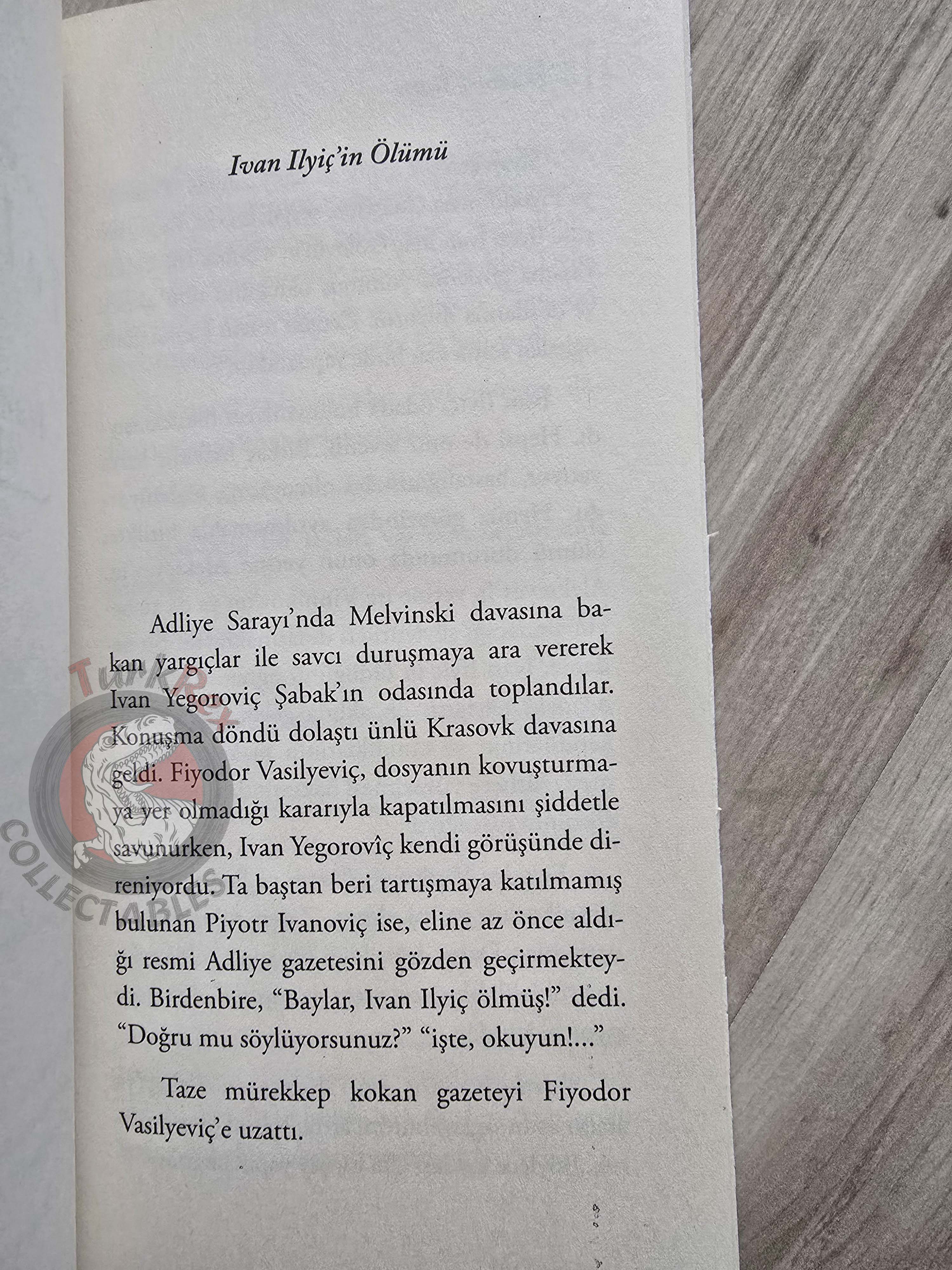 Leo Tolstoy – The Death of Ivan Ilyich 2012 Turkish Book Turkey