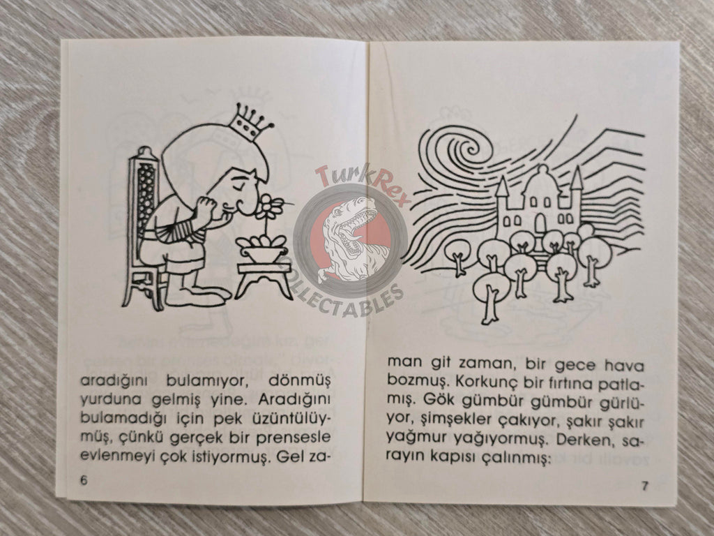 Hans Christian Andersen –  The Real Princess  1994 Turkish Book Turkey Illustrated