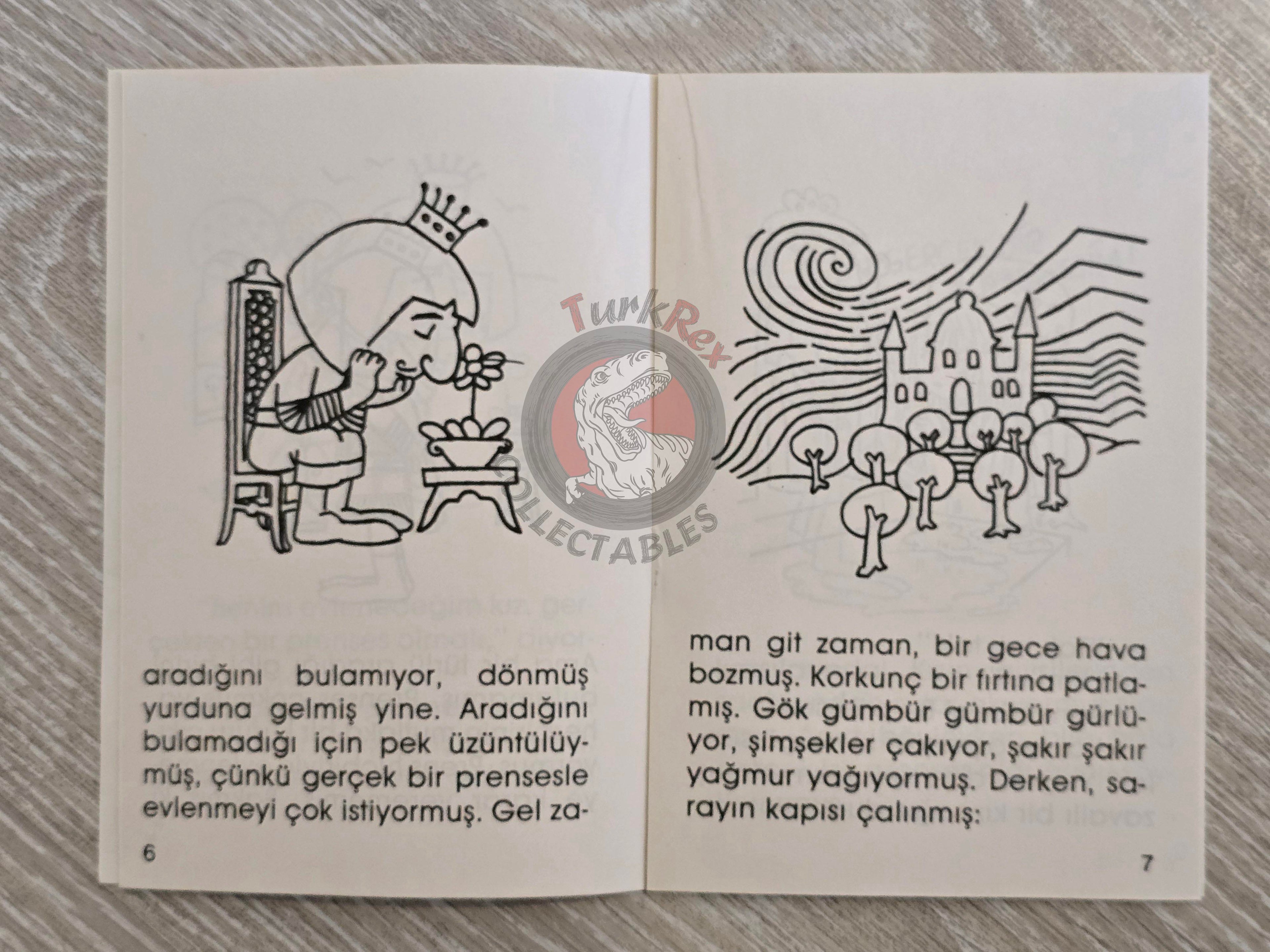 Hans Christian Andersen –  The Real Princess  1994 Turkish Book Turkey Illustrated