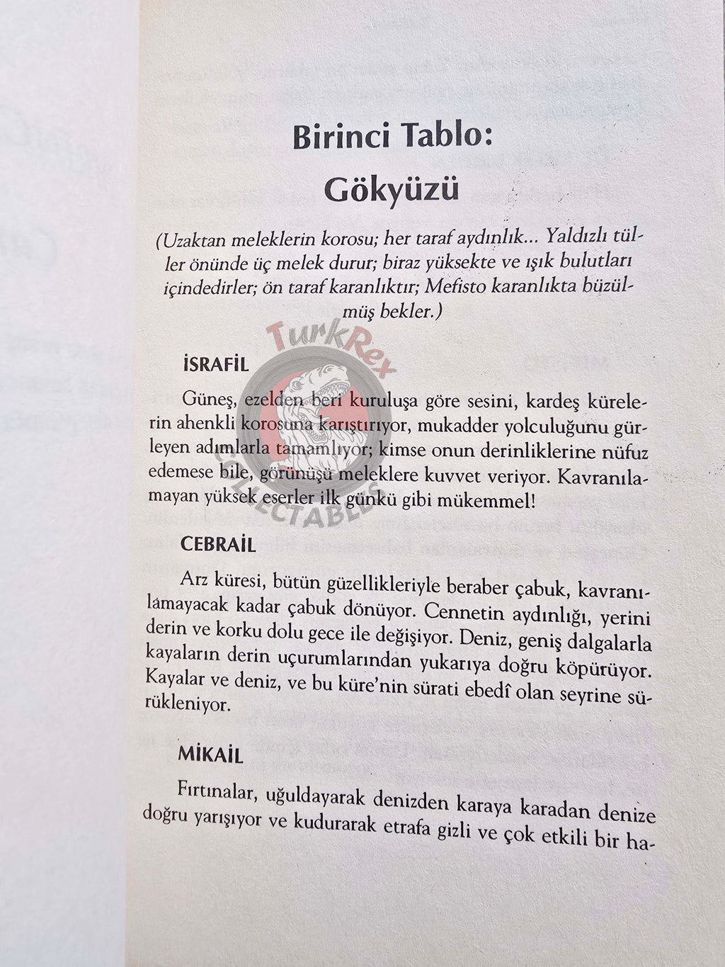 Johann Wolfgang von Goethe – Faust 2005 Turkish Book Turkey