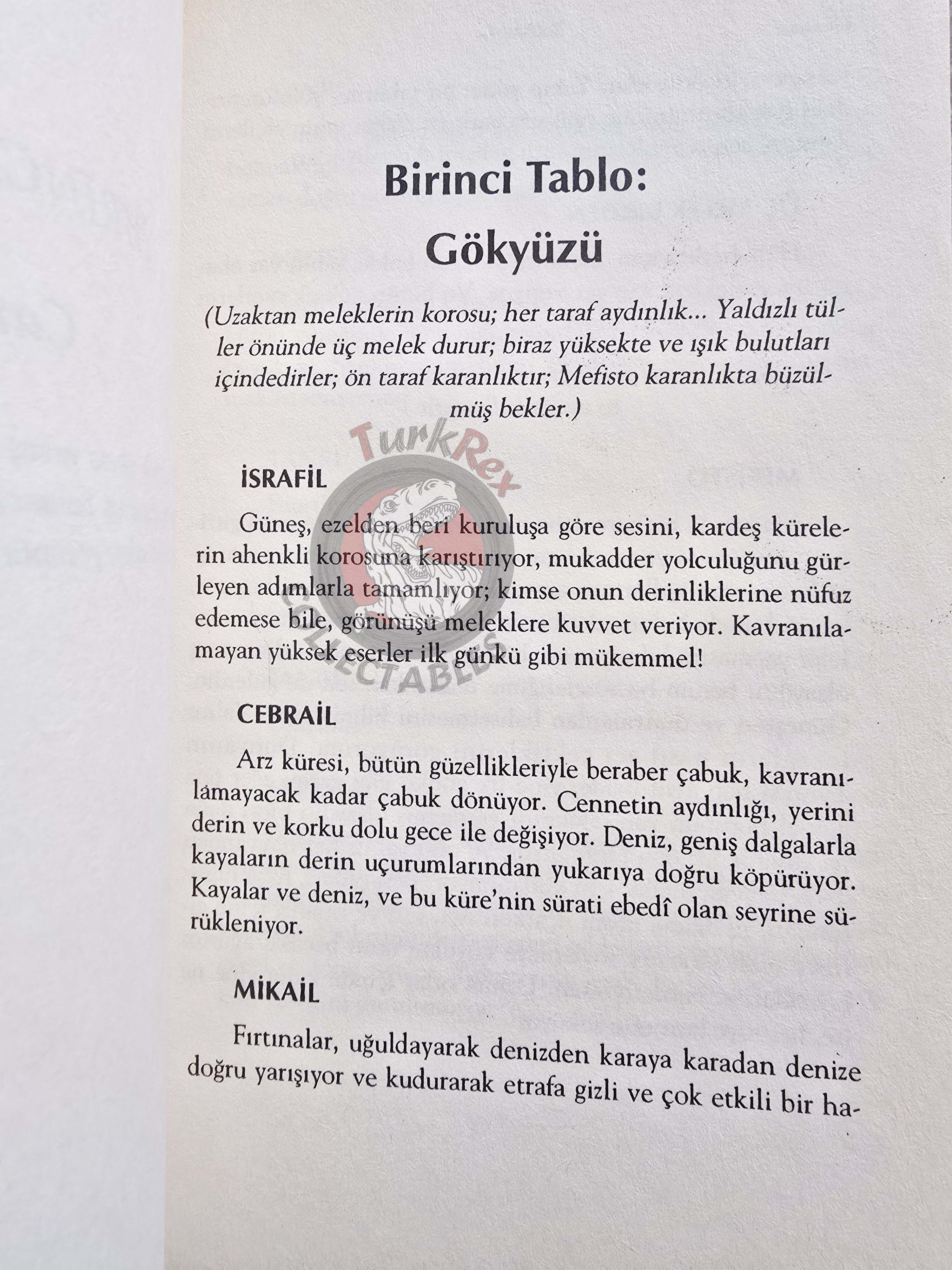 Johann Wolfgang von Goethe – Faust 2005 Turkish Book Turkey