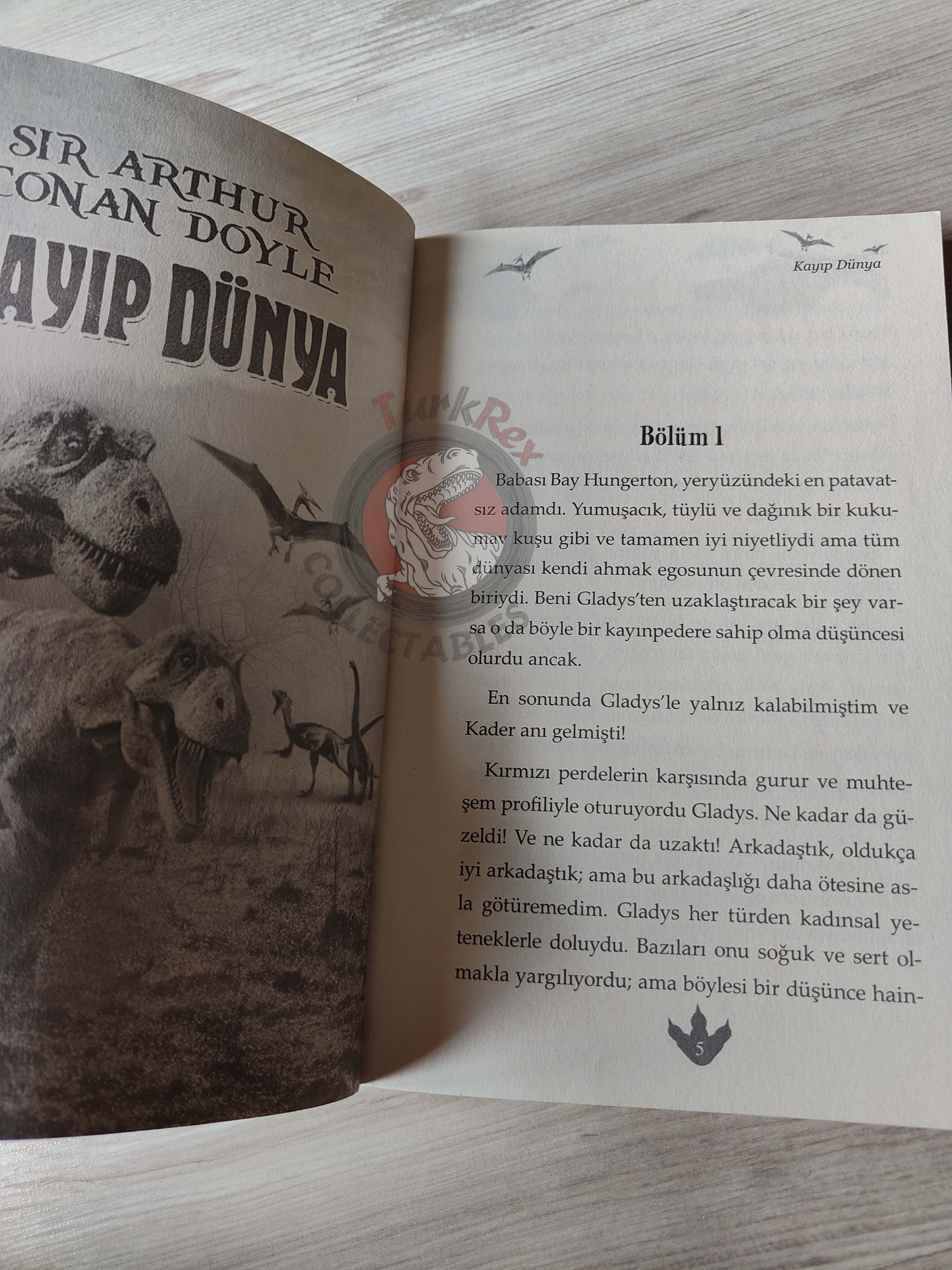 Arthur Conan Doyle – The Lost World 2018 Turkish Book Turkey Illustrated