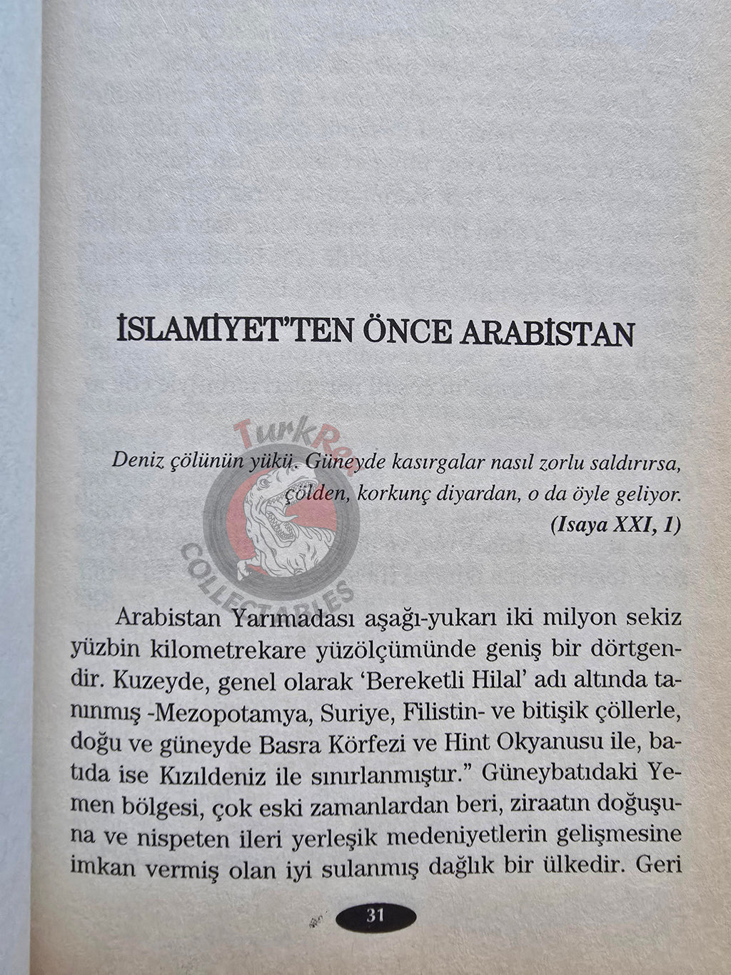 Bernard Lewis – Arabs in History 2006 Turkish Book Turkey