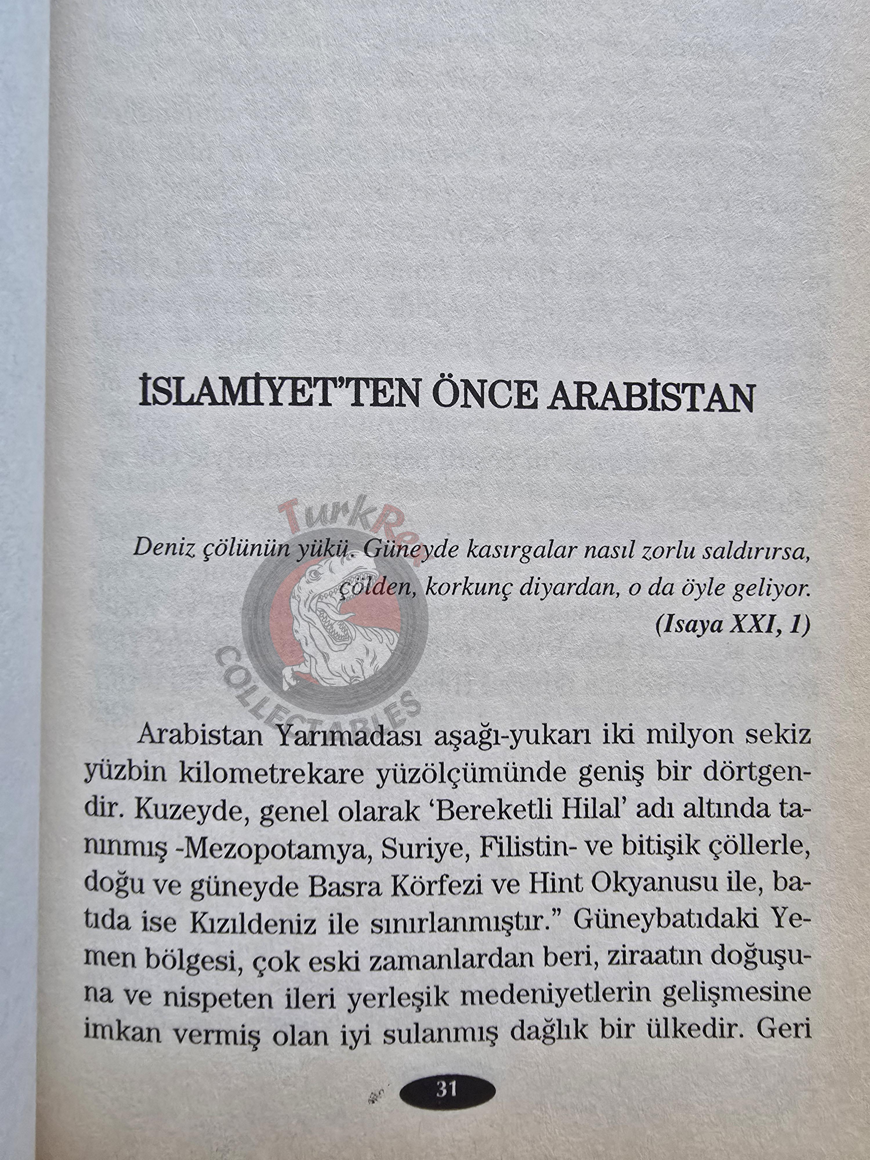 Bernard Lewis – Arabs in History 2006 Turkish Book Turkey