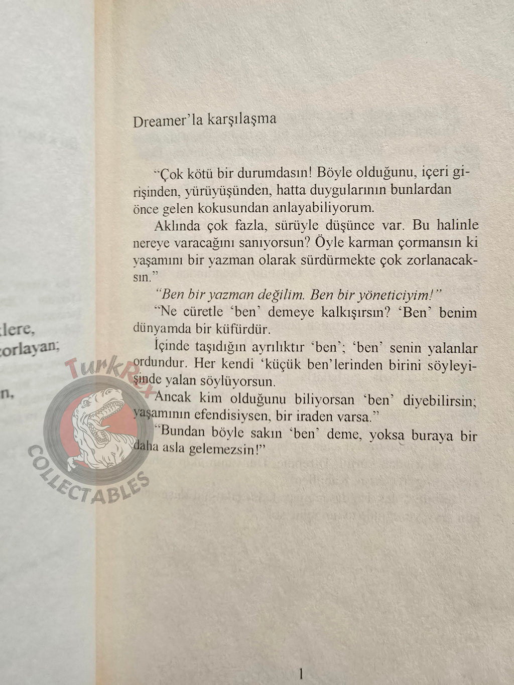 Stefano Elio D'Anna – The School for Gods  2006 Turkish Book Turkey