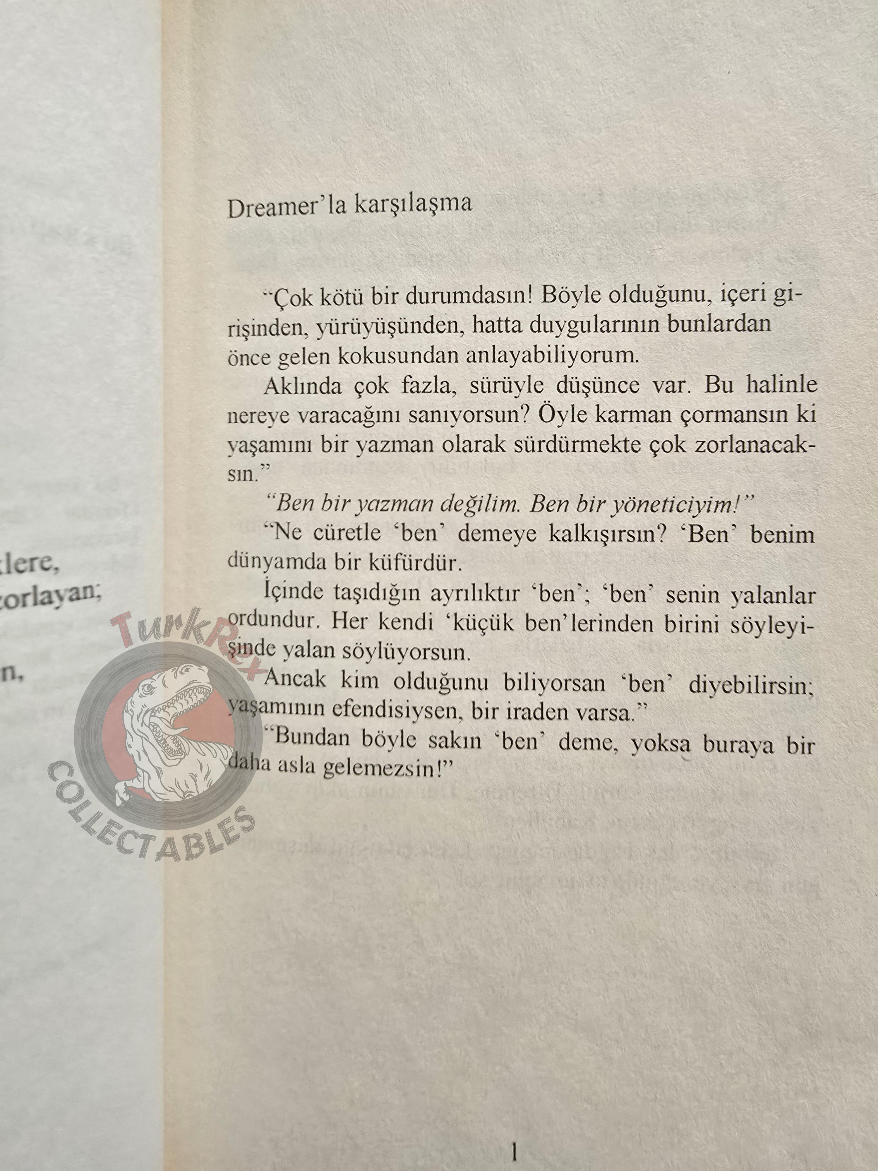 Stefano Elio D'Anna – The School for Gods  2006 Turkish Book Turkey