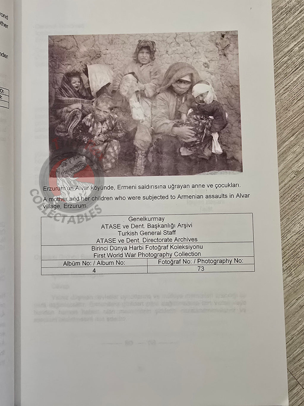 Armenian Activities in the Archive Documents 1914–1918 Turkish Book Turkey Armenia English
