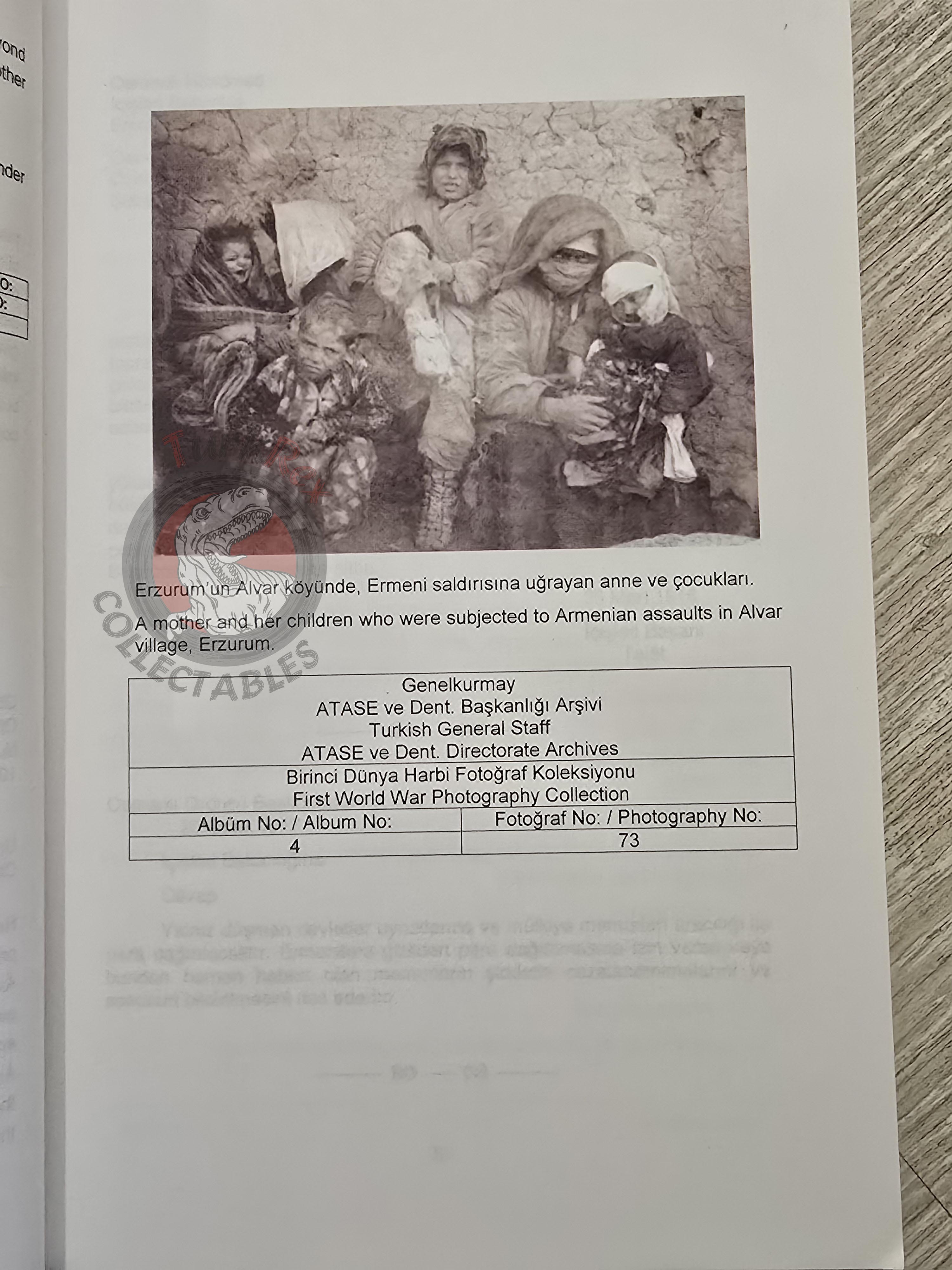 Armenian Activities in the Archive Documents 1914–1918 Turkish Book Turkey Armenia English
