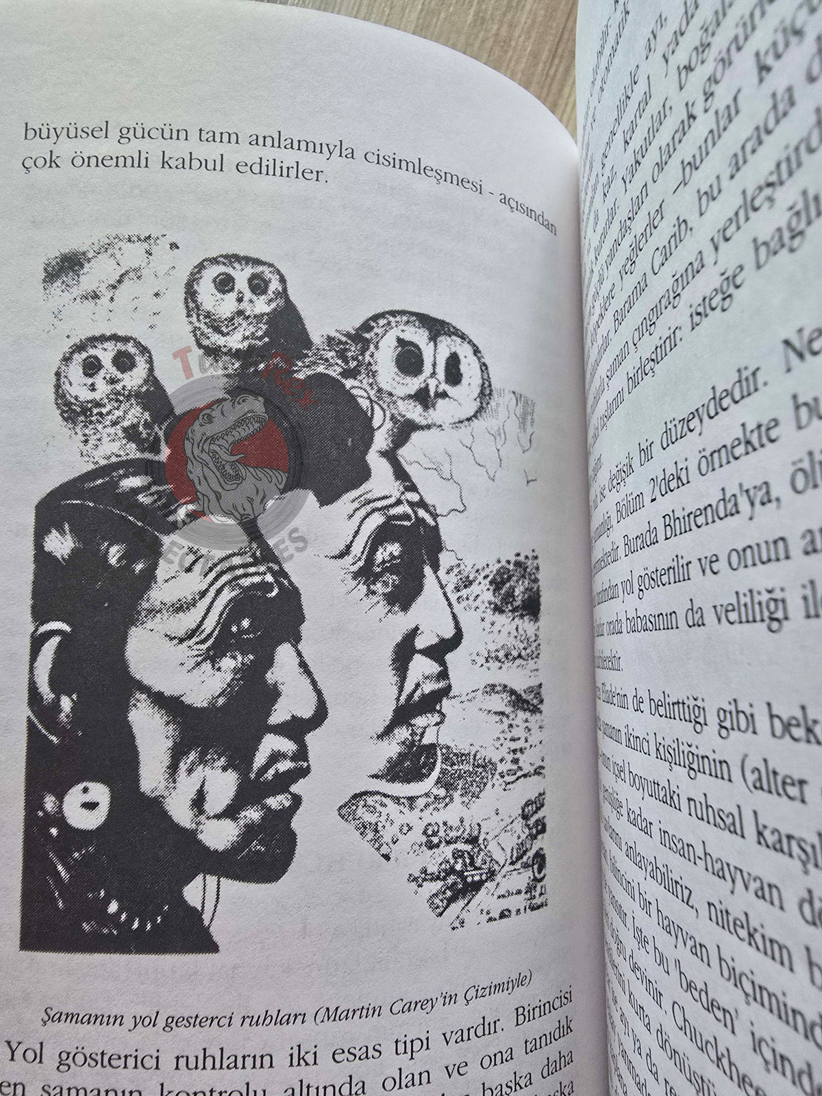 Nevill Drury – The Elements of Shamanism 1996 1st Turkish Book Turkey