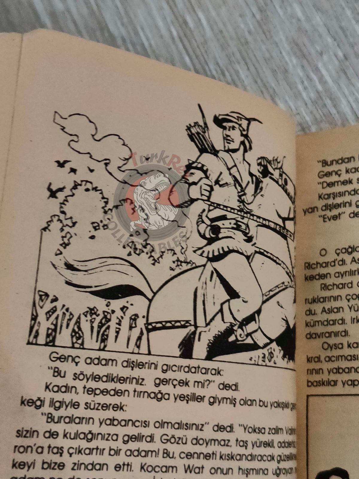 Robin Hood – Howard Pyle 1980s Turkish Book Turkey Illustrated