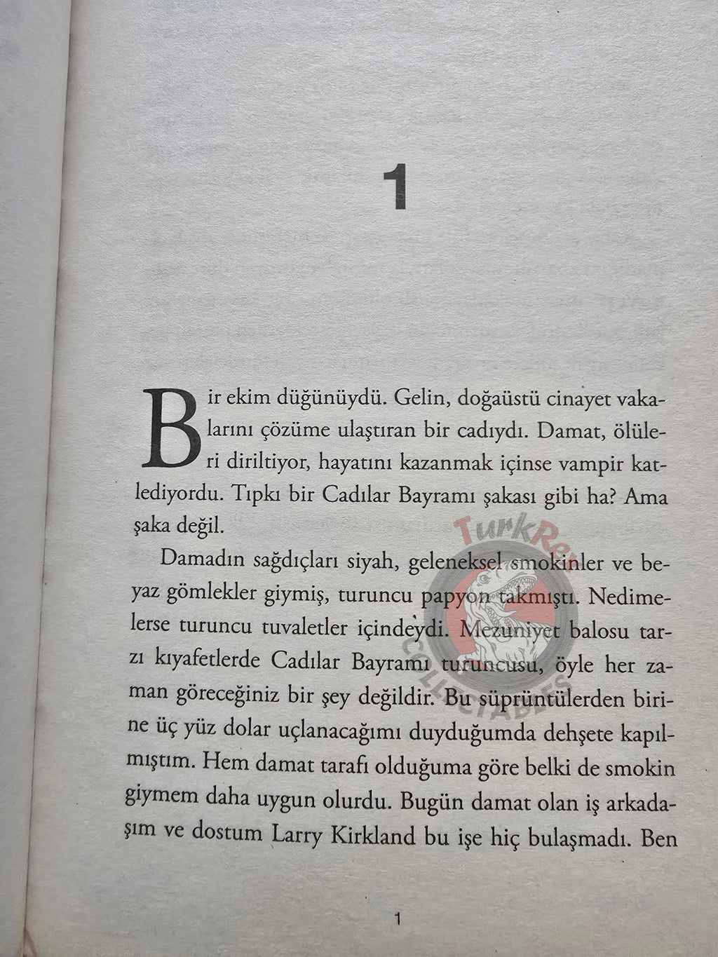 Laurell K. Hamilton – Incubus Dreams 2010 1st Turkish Book Turkey Anita Blake: Vampire Hunter
