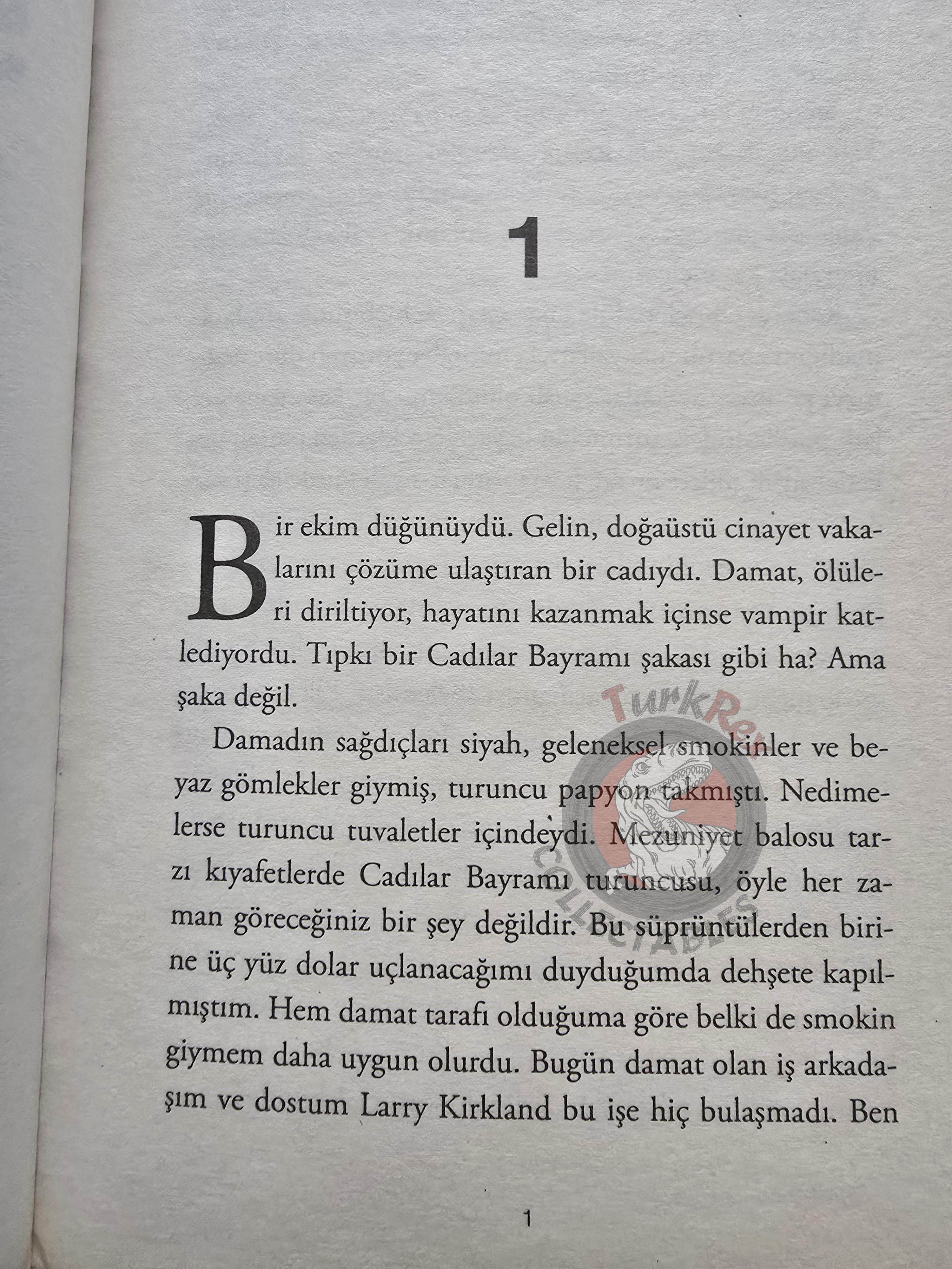 Laurell K. Hamilton – Incubus Dreams 2010 1st Turkish Book Turkey Anita Blake: Vampire Hunter