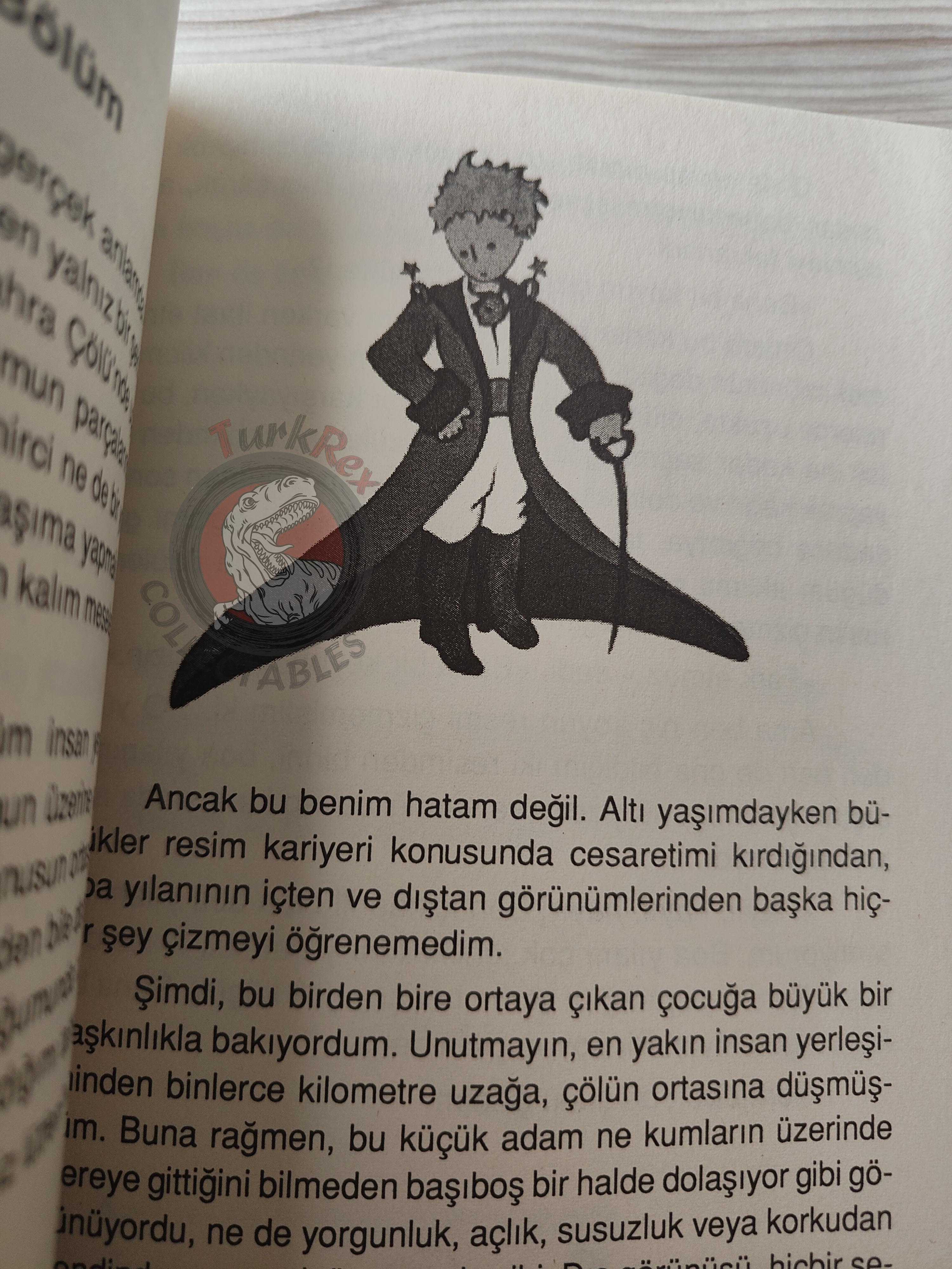 Antoine de Saint-Exupéry – Le Petit Prince 2014 Turkish Book Turkey Illustrated Little