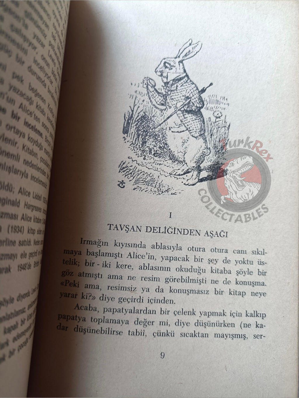 Lewis Carroll – Alice in Wonderland 1969 Turkish Book Turkey Illustrated John Tenniel