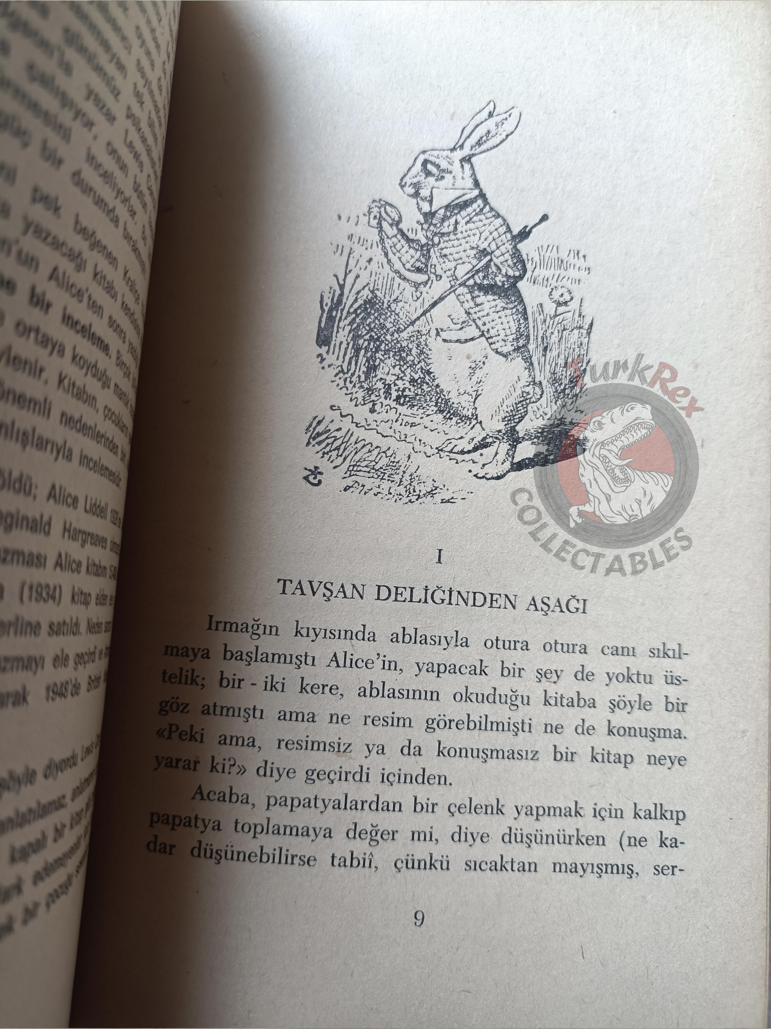Lewis Carroll – Alice in Wonderland 1969 Turkish Book Turkey Illustrated John Tenniel