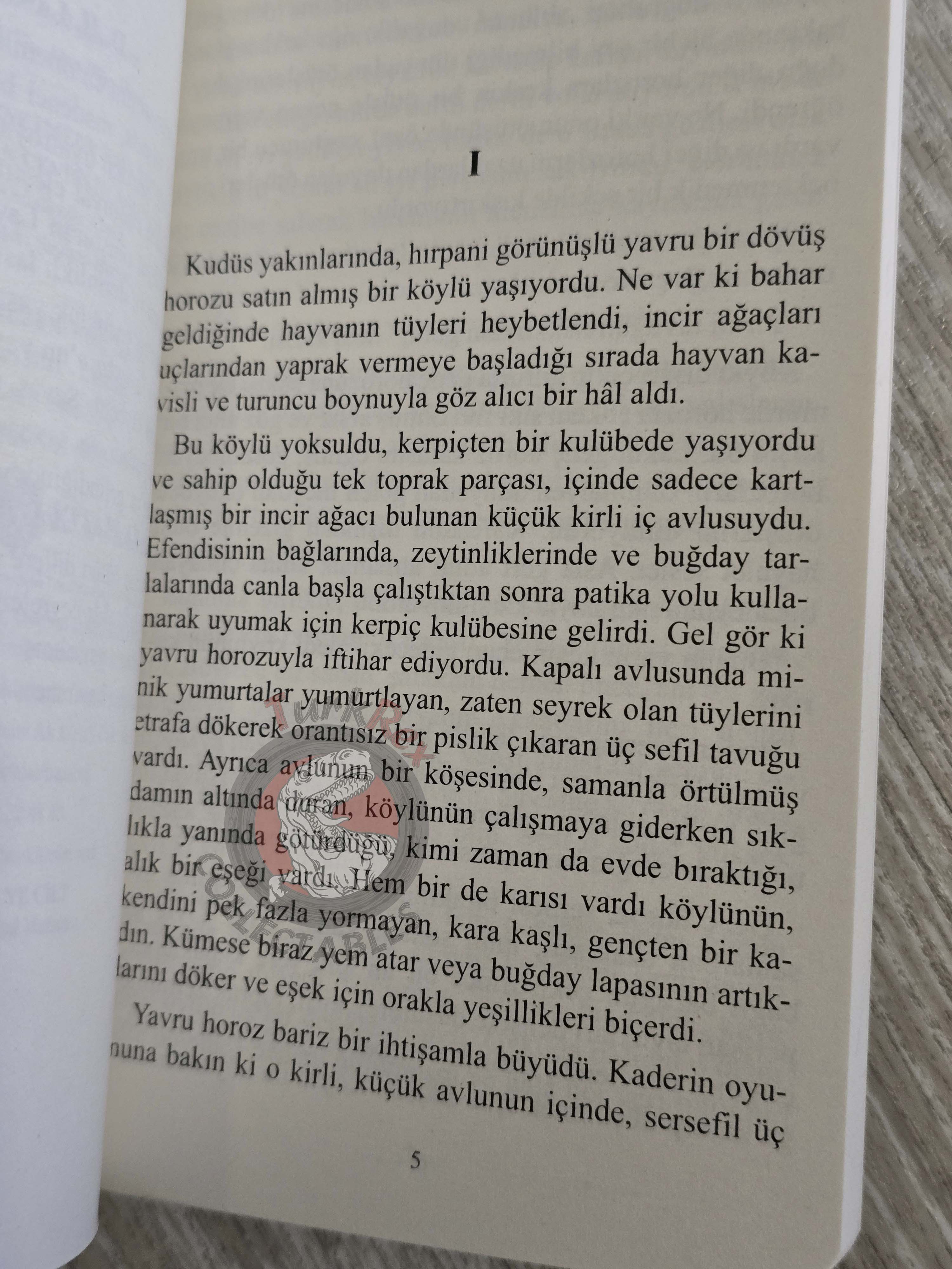 D. H. Lawrence – The Man Who Died 2021 Turkish Book Turkey