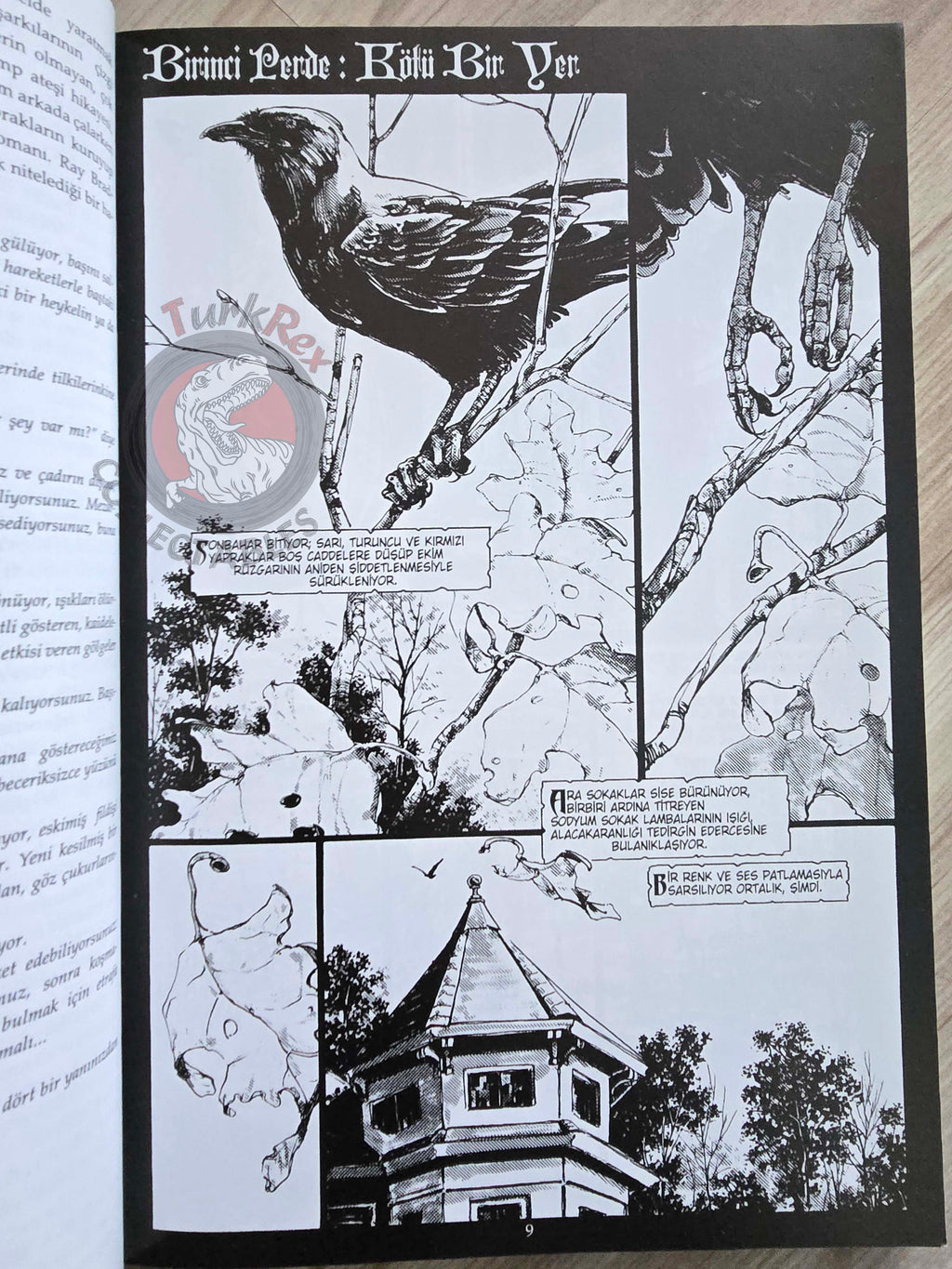 The Last Temptation - Neil Gaiman Alice Cooper Turkish Comic Turkey 2015