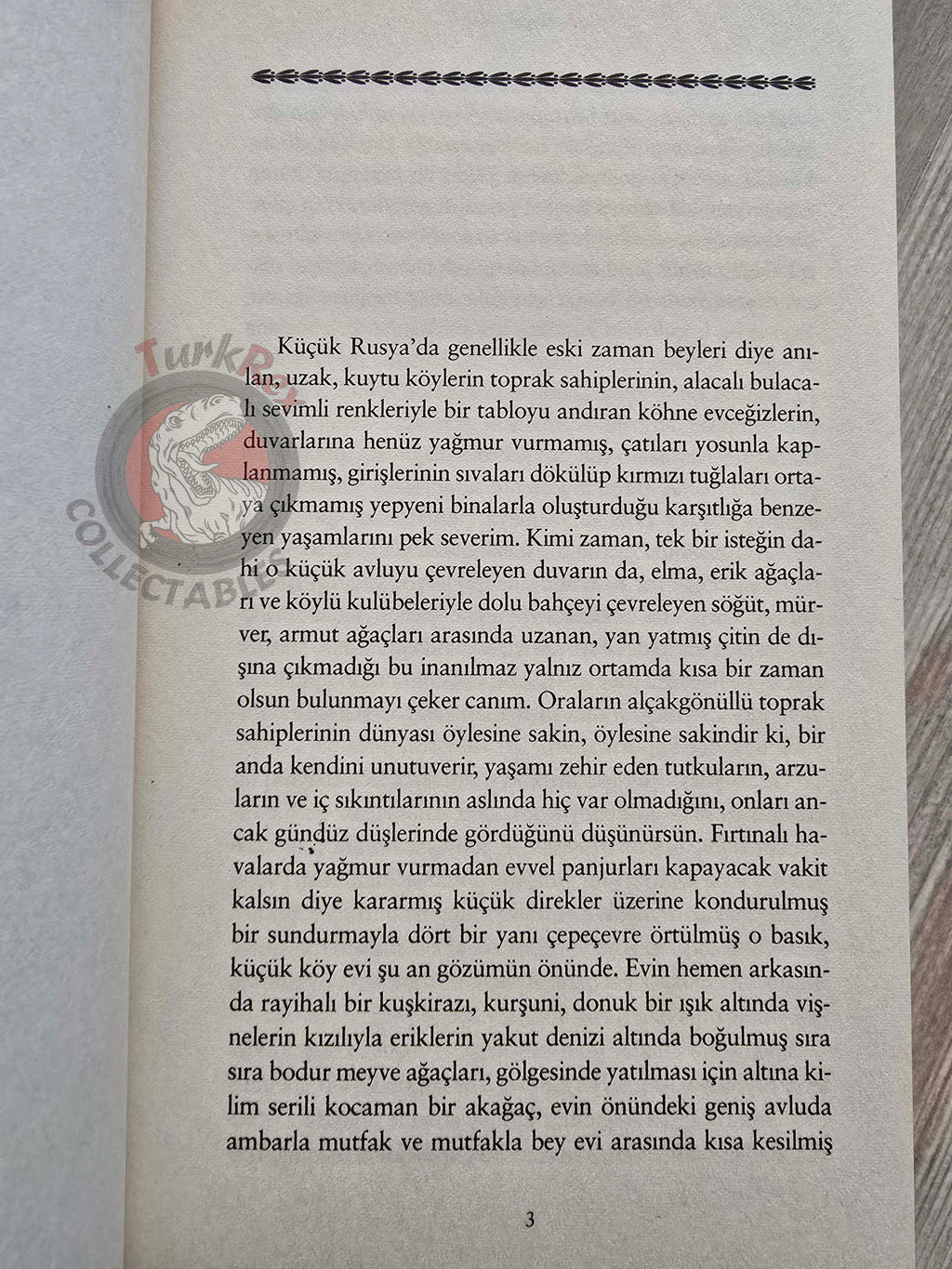 Nikolai Gogol – Taras Bulba: A Tale of the Cossacks 2010 Turkish Book Turkey