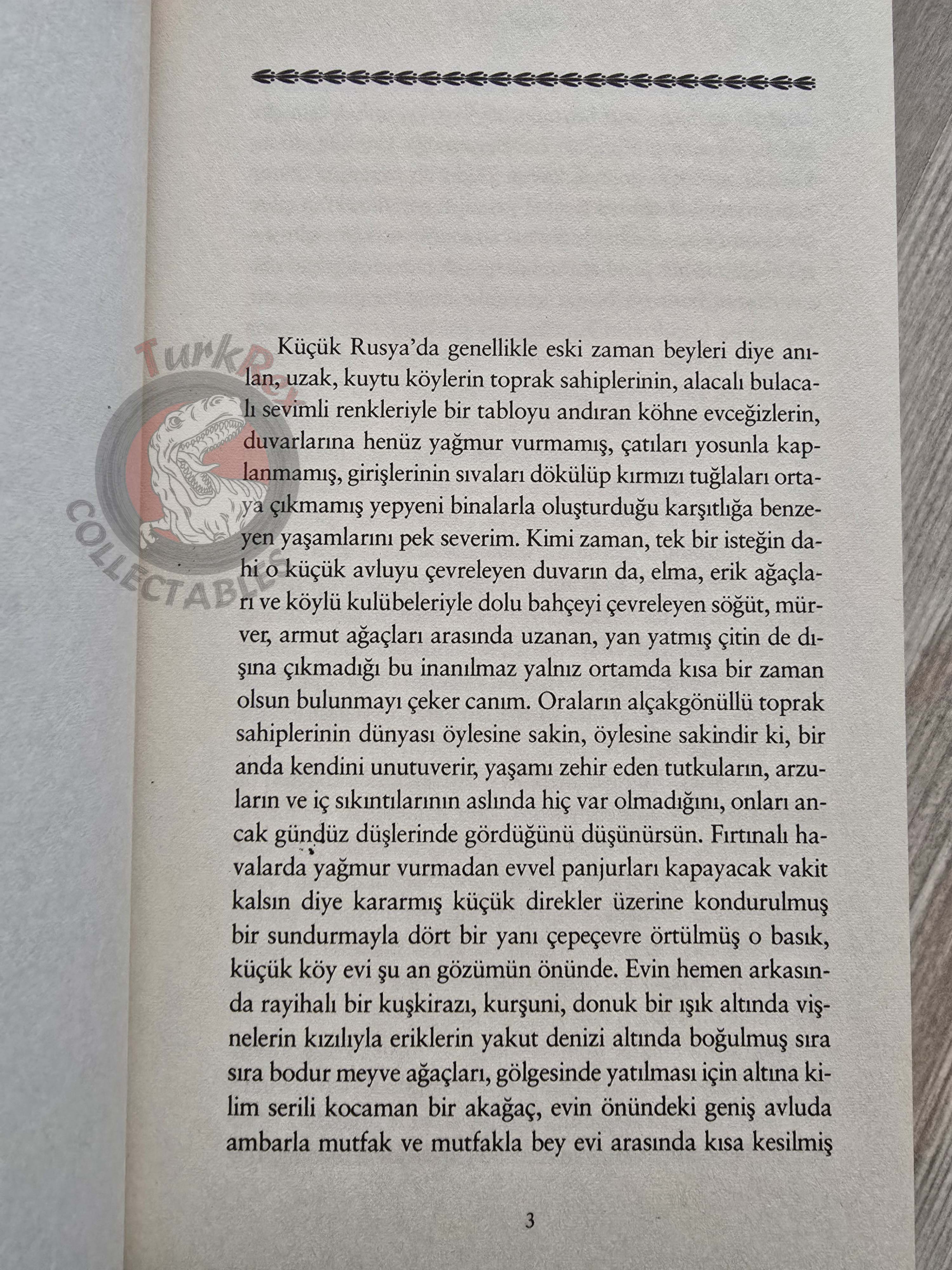 Nikolai Gogol – Taras Bulba: A Tale of the Cossacks 2010 Turkish Book Turkey