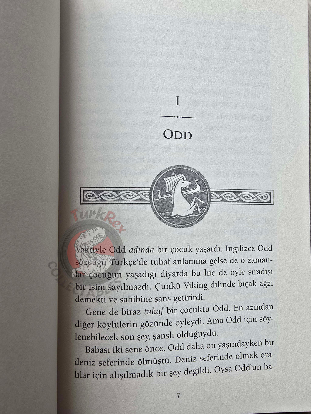 Neil Gaiman – Odd And The Frost Giants 2020 1st Turkish Book Turkey Illustrated