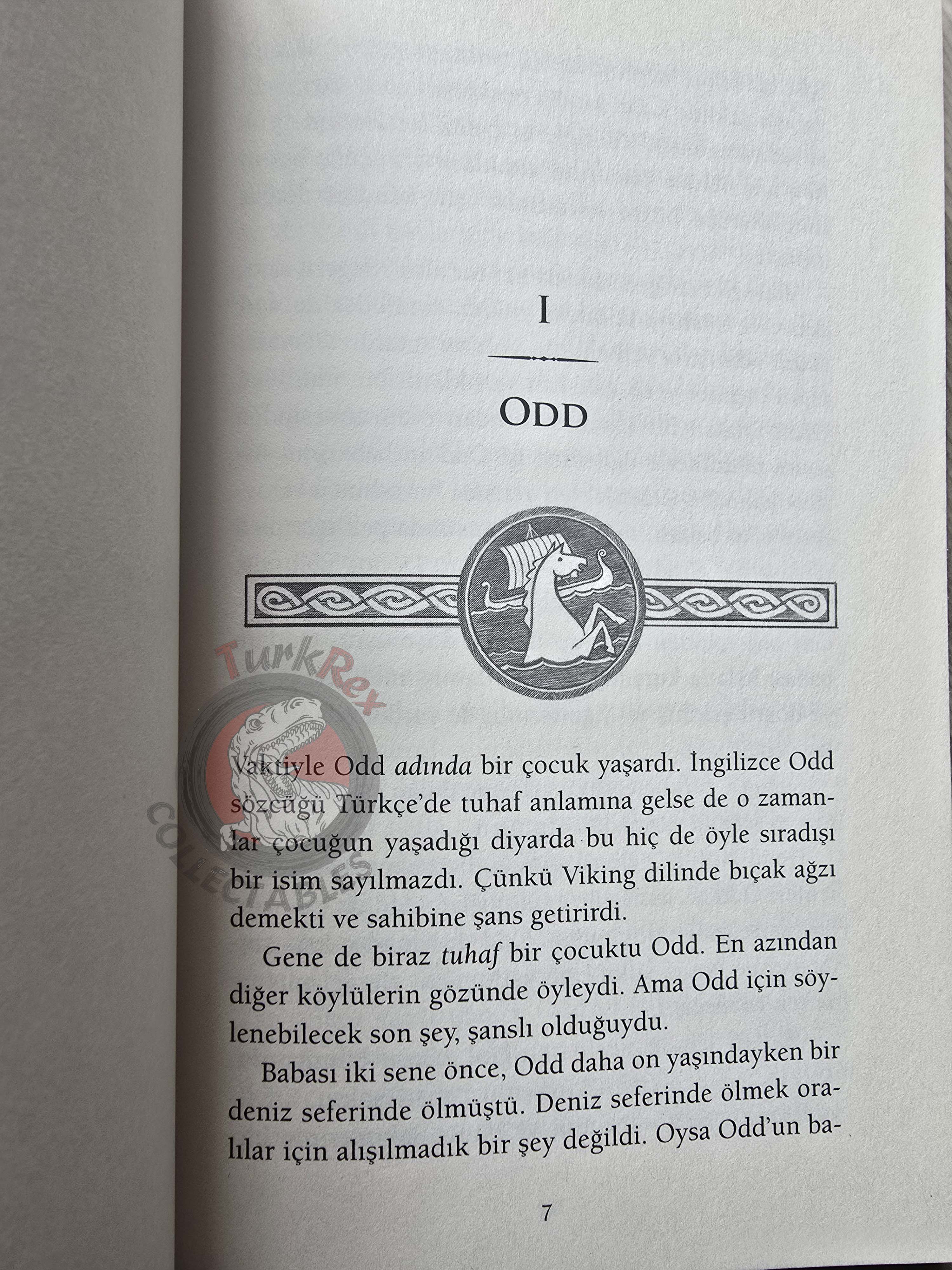 Neil Gaiman – Odd And The Frost Giants 2020 1st Turkish Book Turkey Illustrated