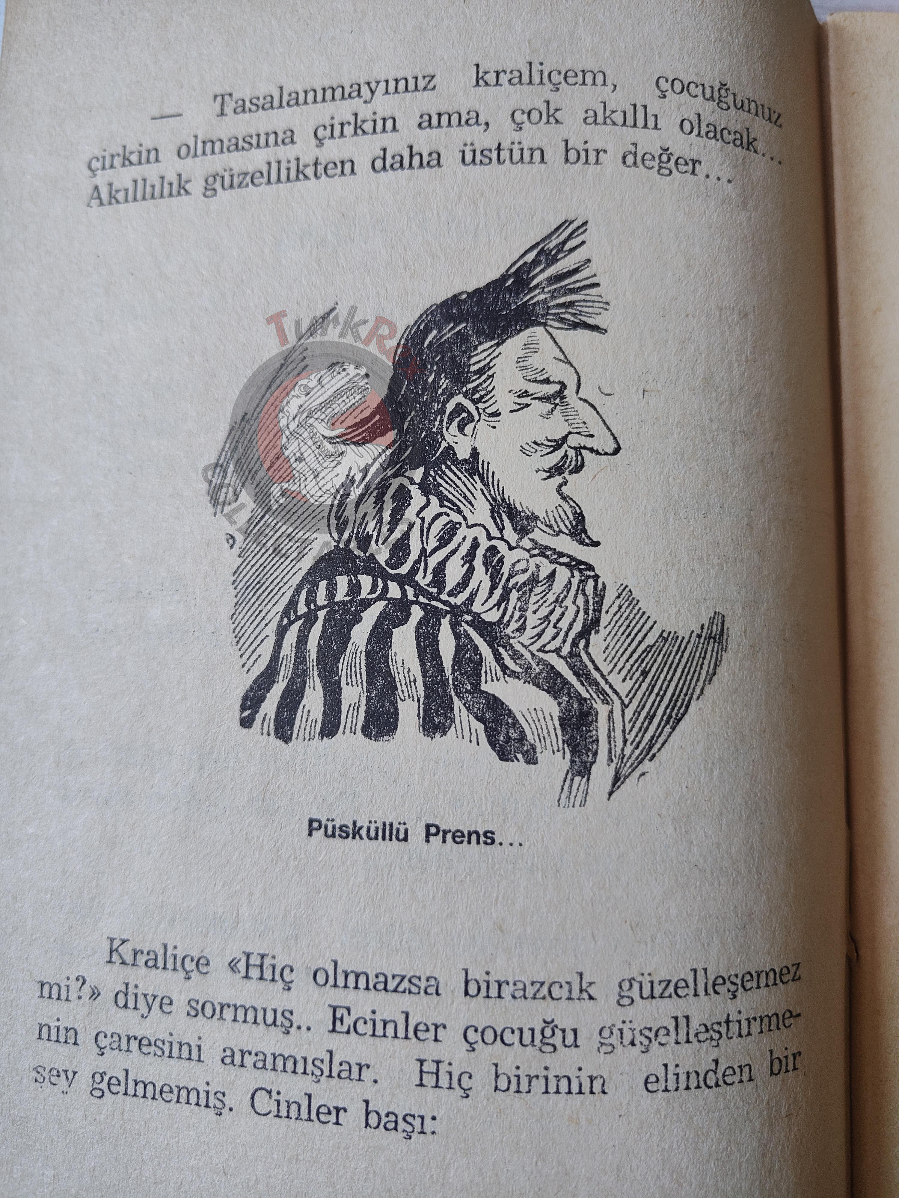 Grimm Brothers – The Frog Prince 1975 Turkish Book Turkey Illustrated