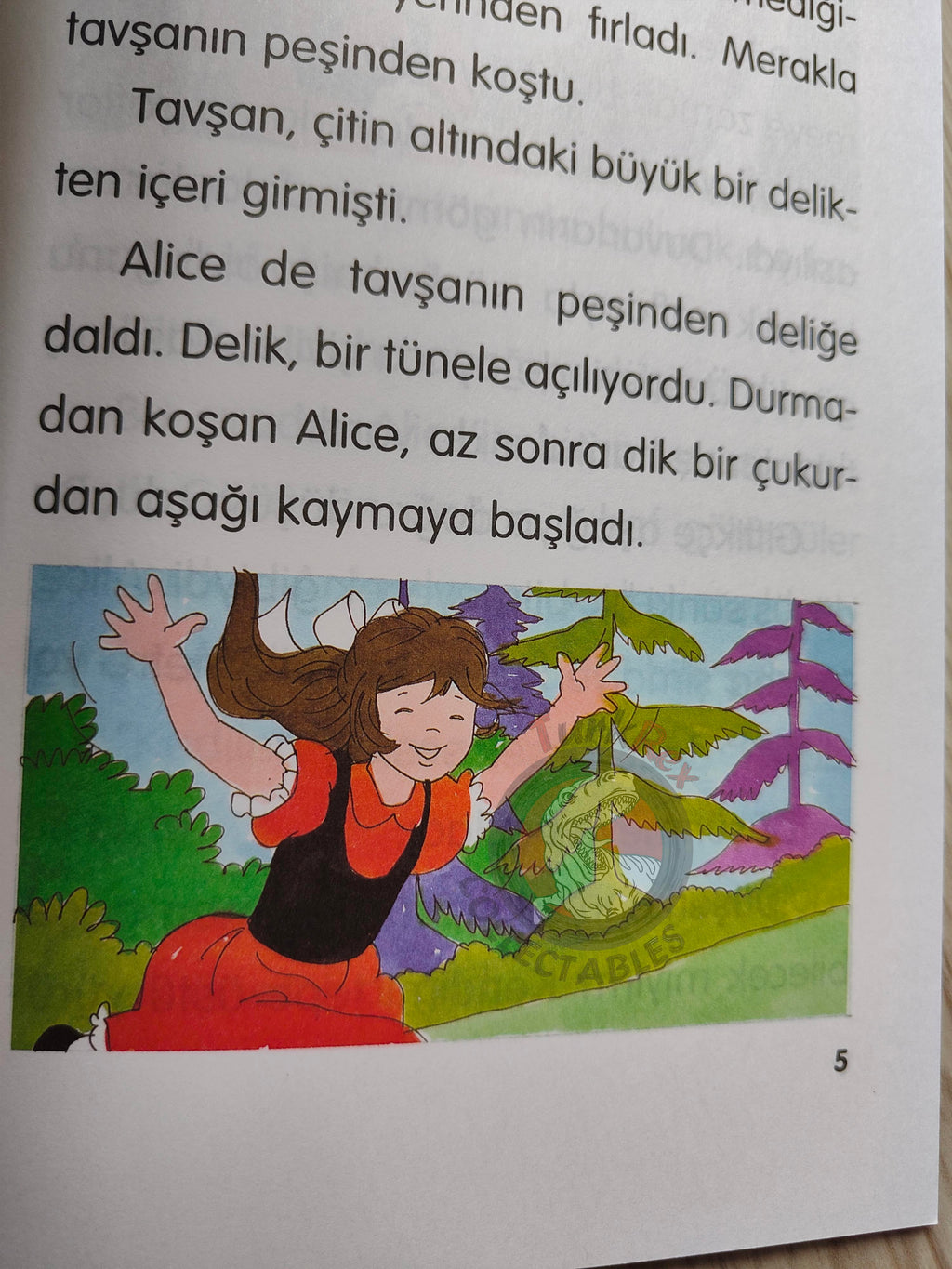 Lewis Carroll – Alice in Wonderland 2001 Turkish Book Turkey Illustrated