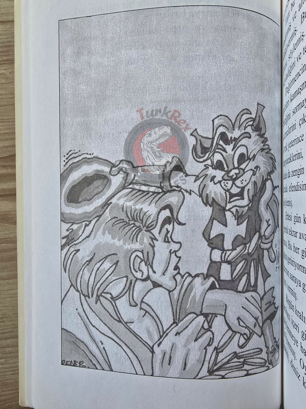 Puss in Boots – Grimm Brothers 2005 Turkish Book Turkey Illustrated