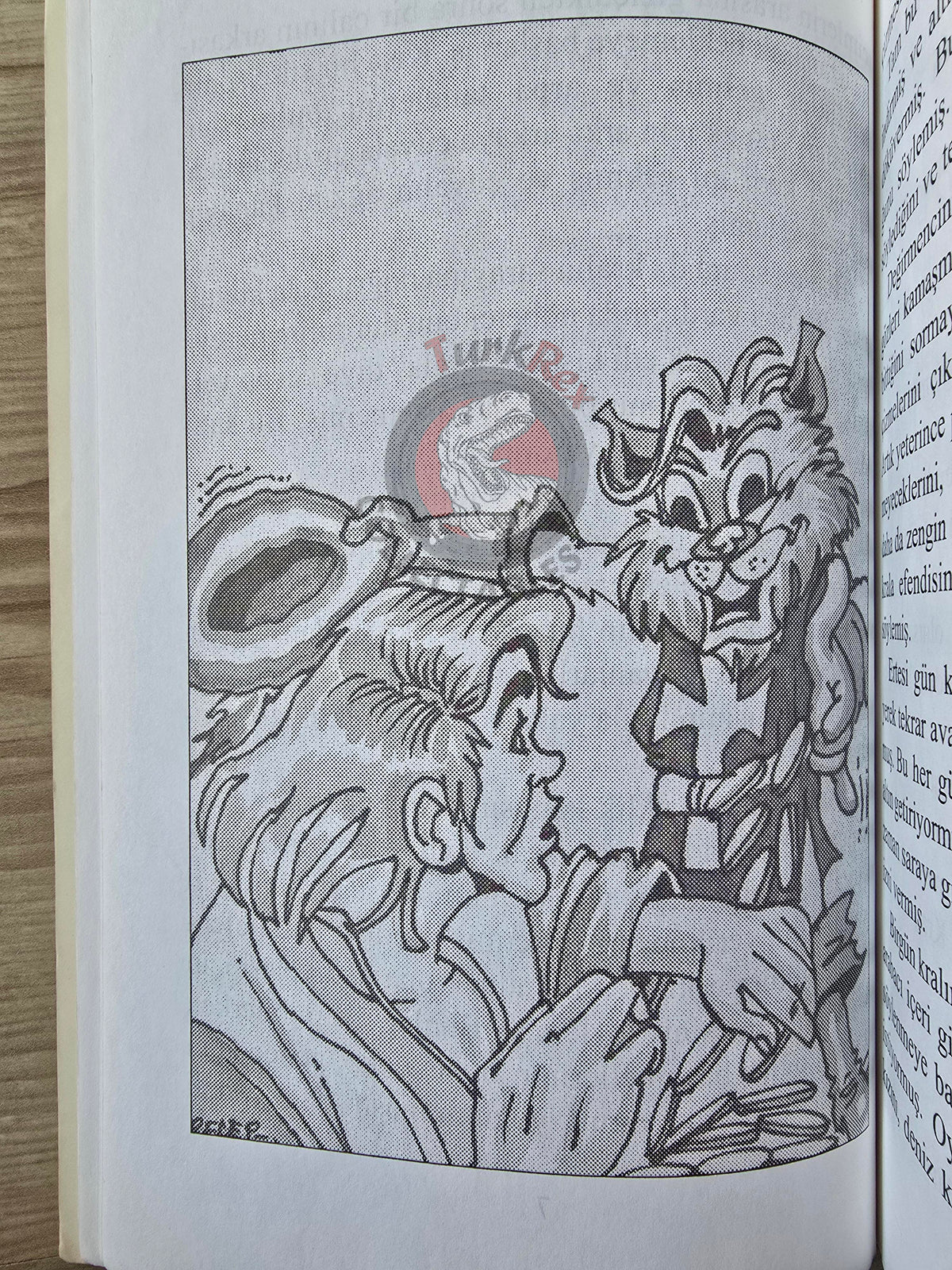 Puss in Boots – Grimm Brothers 2005 Turkish Book Turkey Illustrated