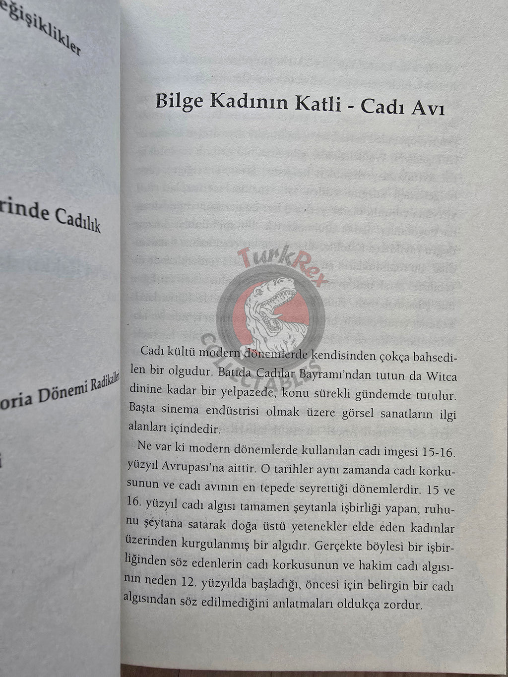 Lois Martin – The History Of Witchcraft 2009 Turkish Book Turkey