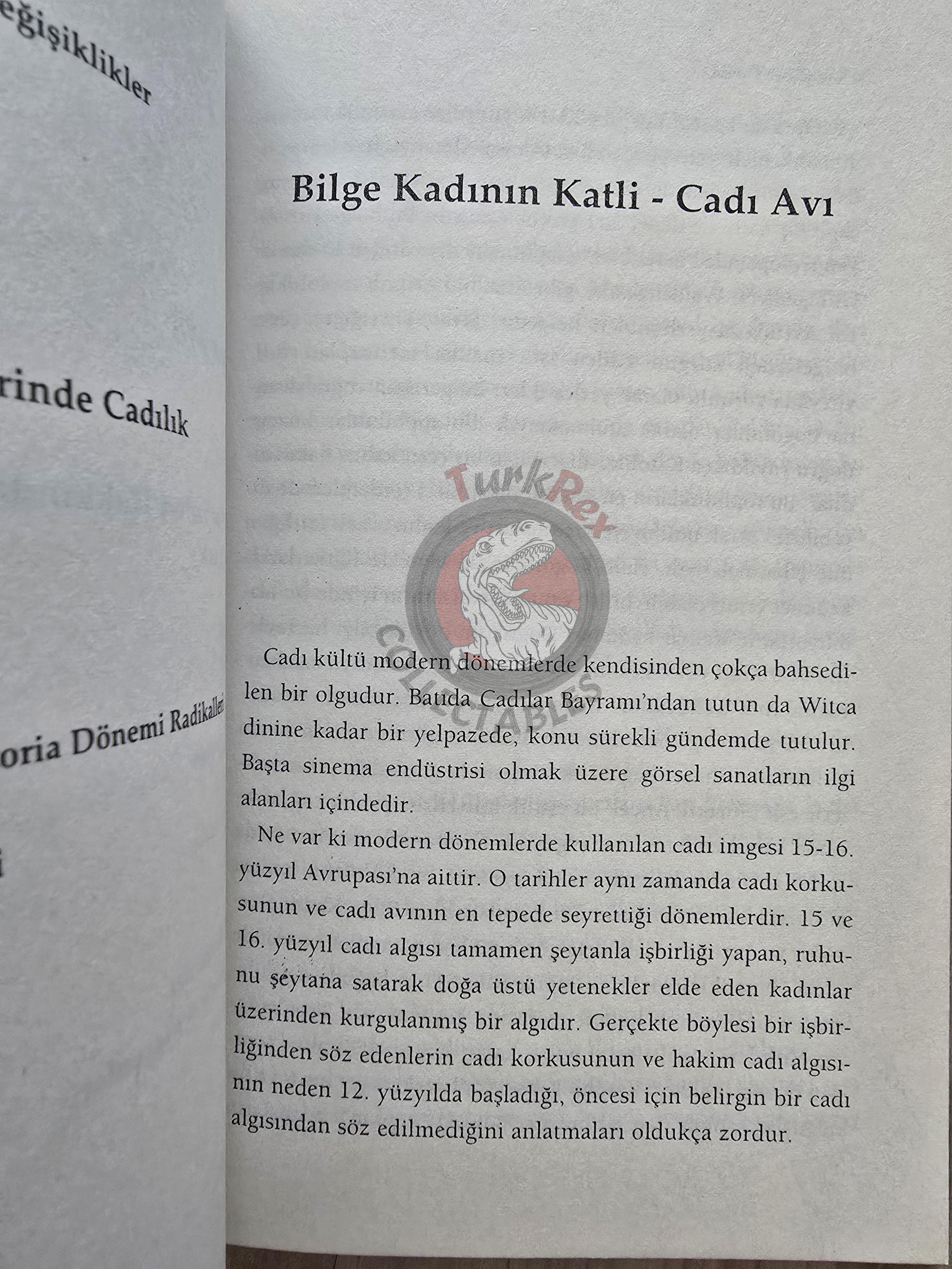 Lois Martin – The History Of Witchcraft 2009 Turkish Book Turkey