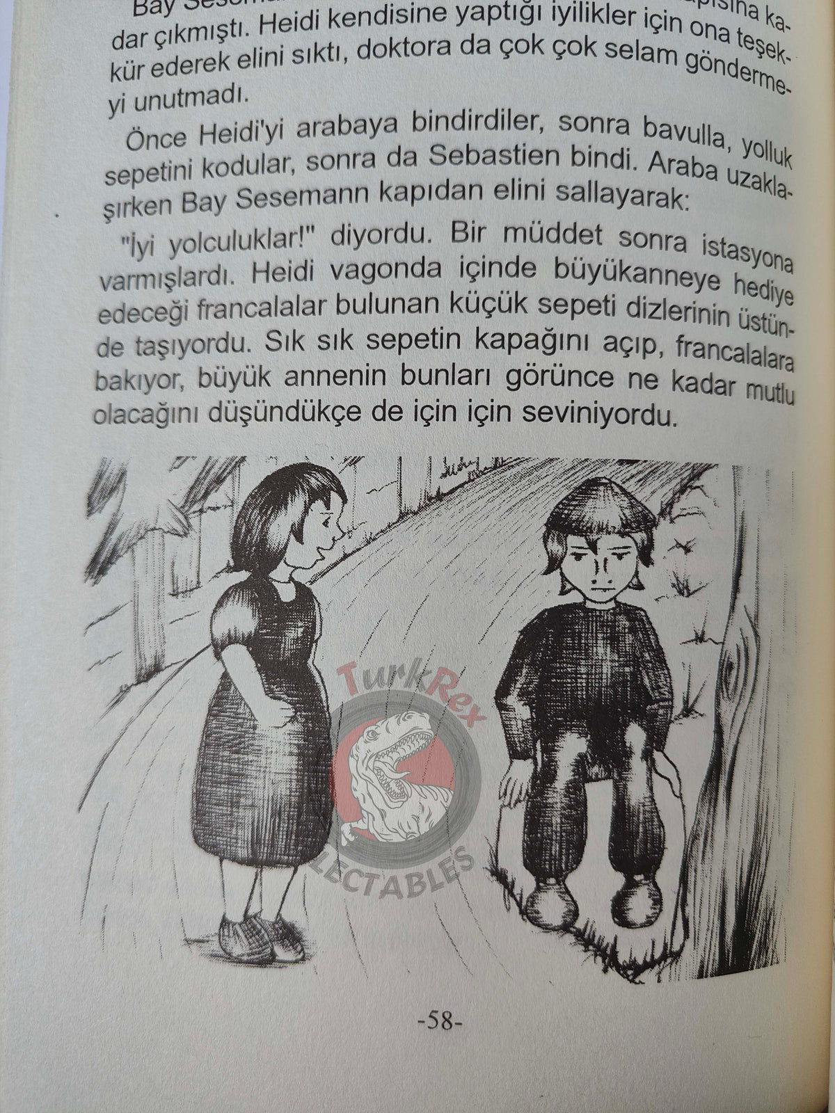 Johanna Spyri – Heidi 2011 Turkish Book Turkey Illustrated