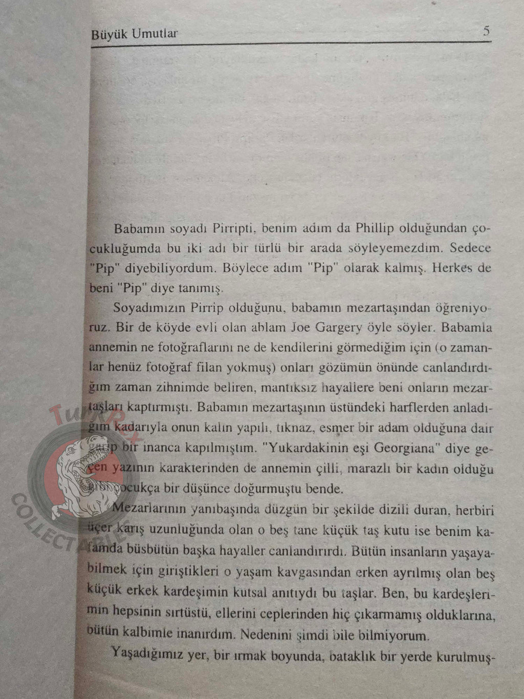 Charles Dickens – Great Expectations Turkish Book Turkey