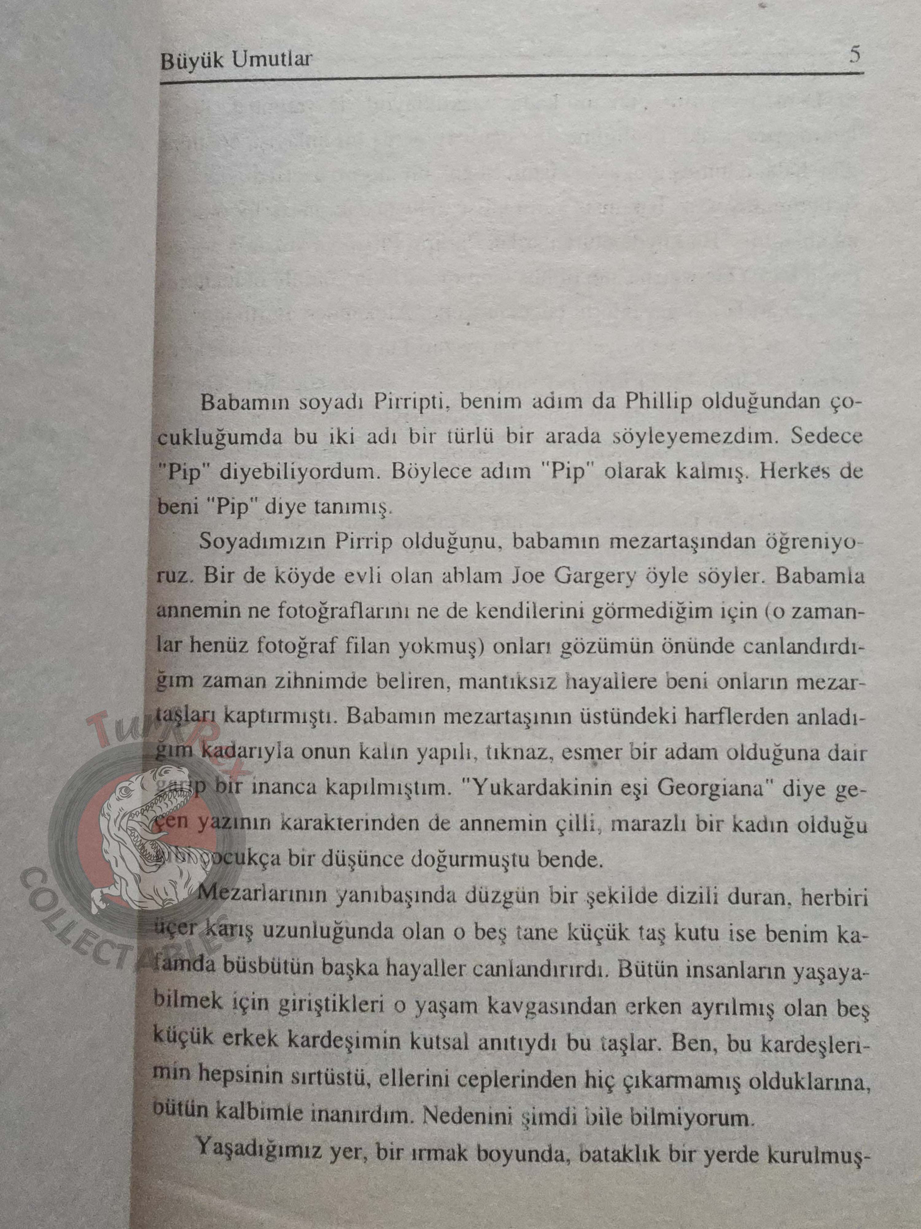 Charles Dickens – Great Expectations Turkish Book Turkey