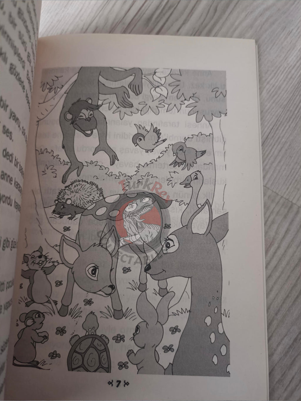 Felix Salten – Bambi 2004 Turkish Book Turkey Illustrated 2